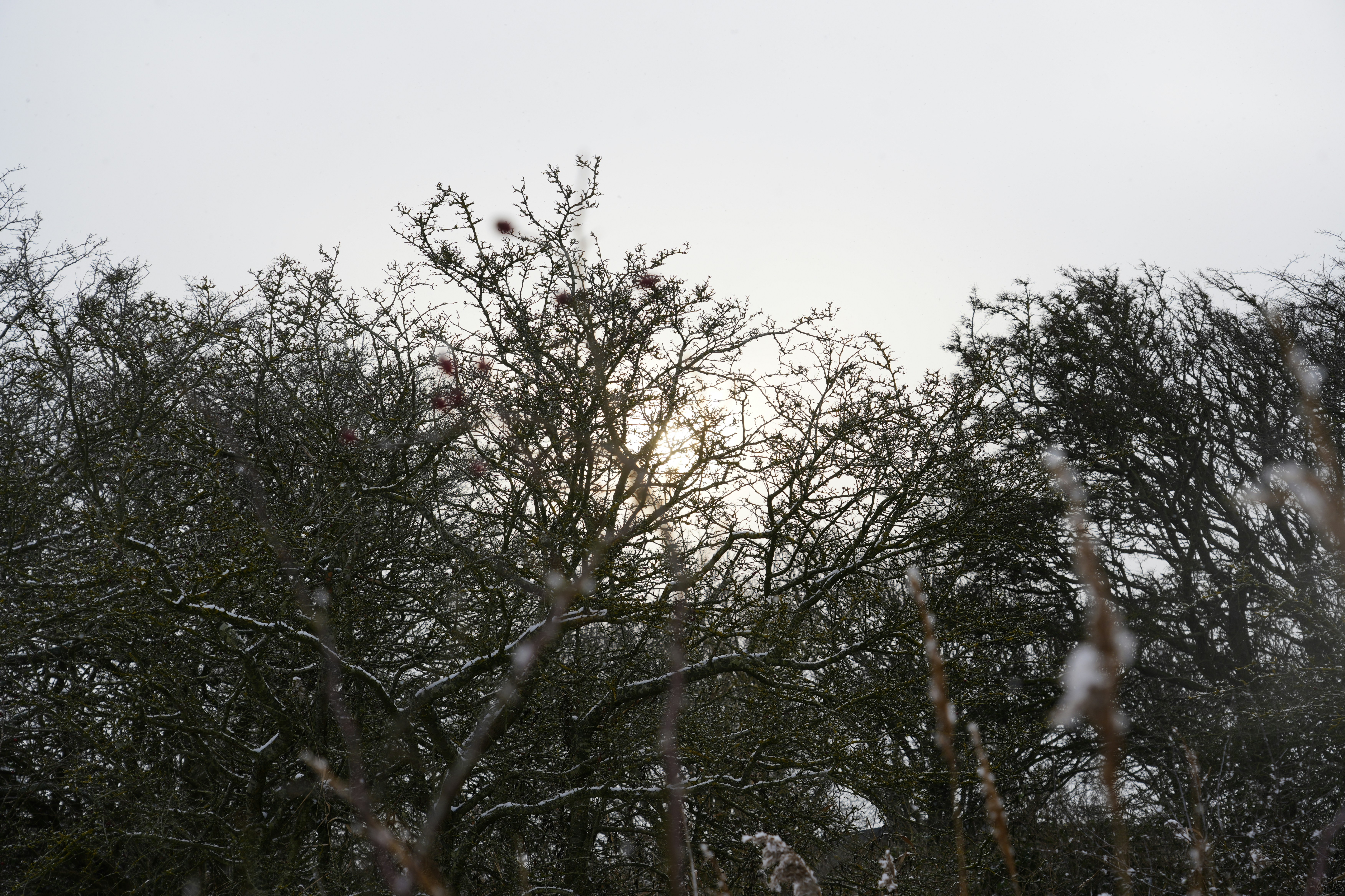 Photo by antjewinkler