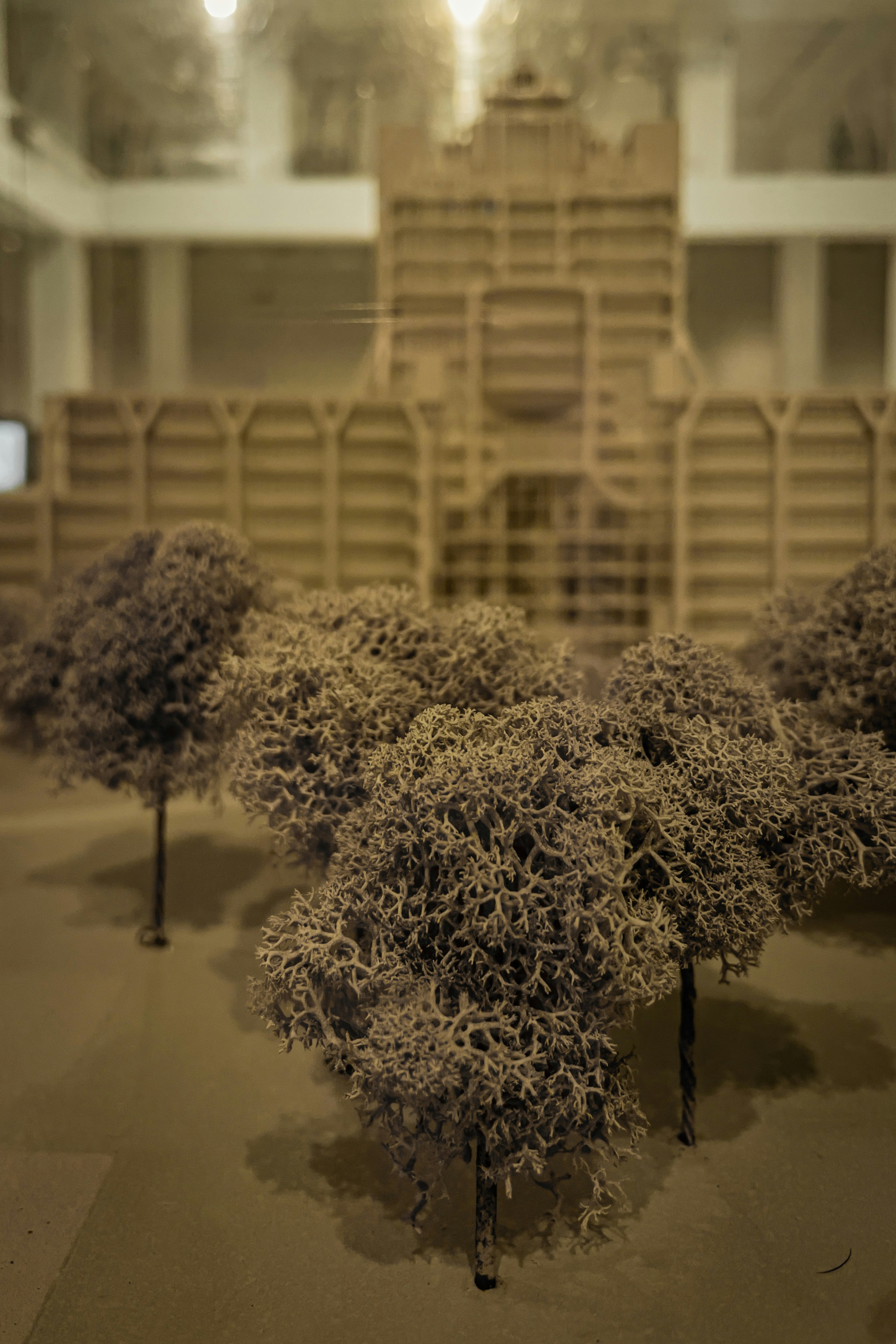 Wooden model of a castle with trees in foreground