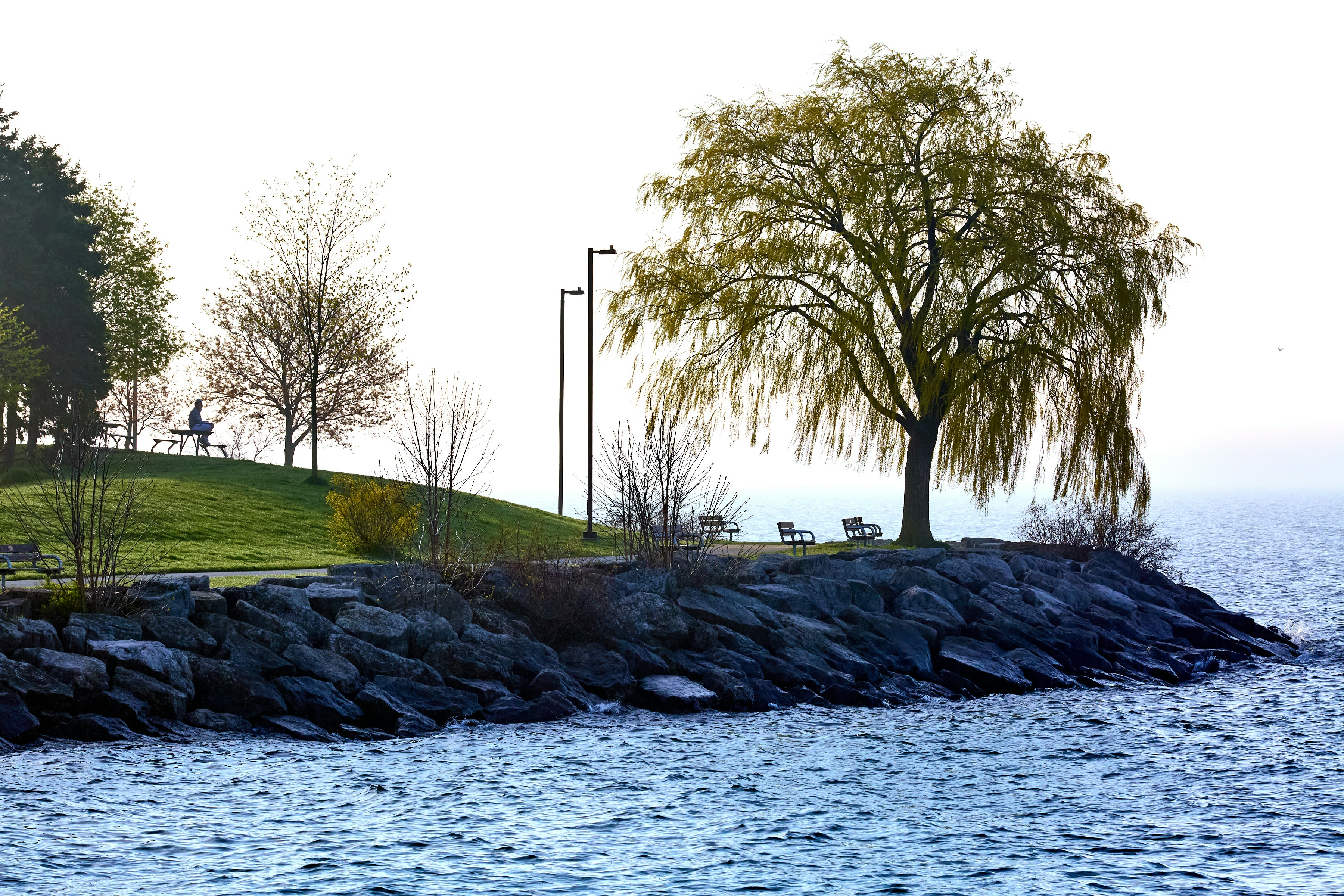 Lone Tree Park