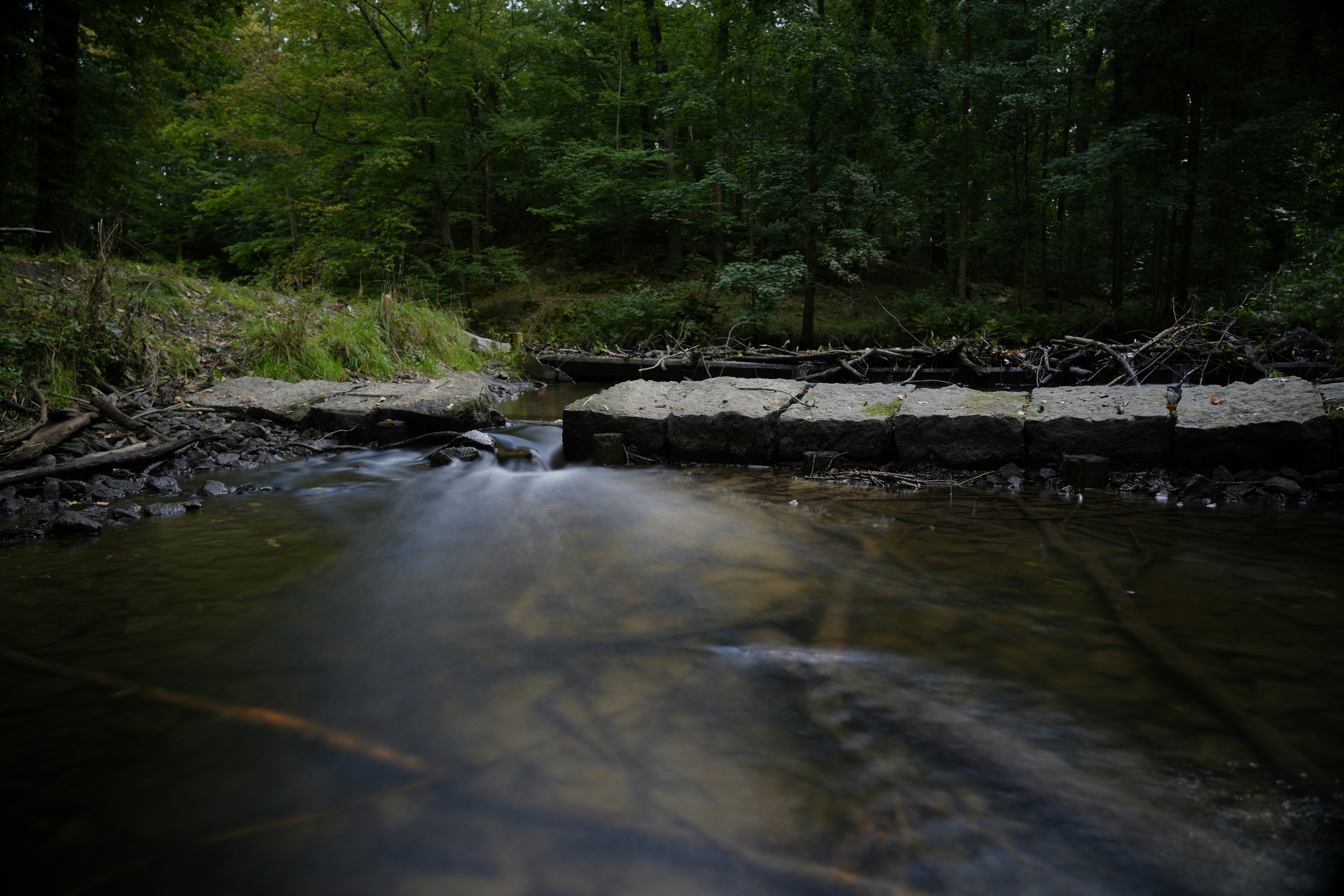 Photo by antjewinkler