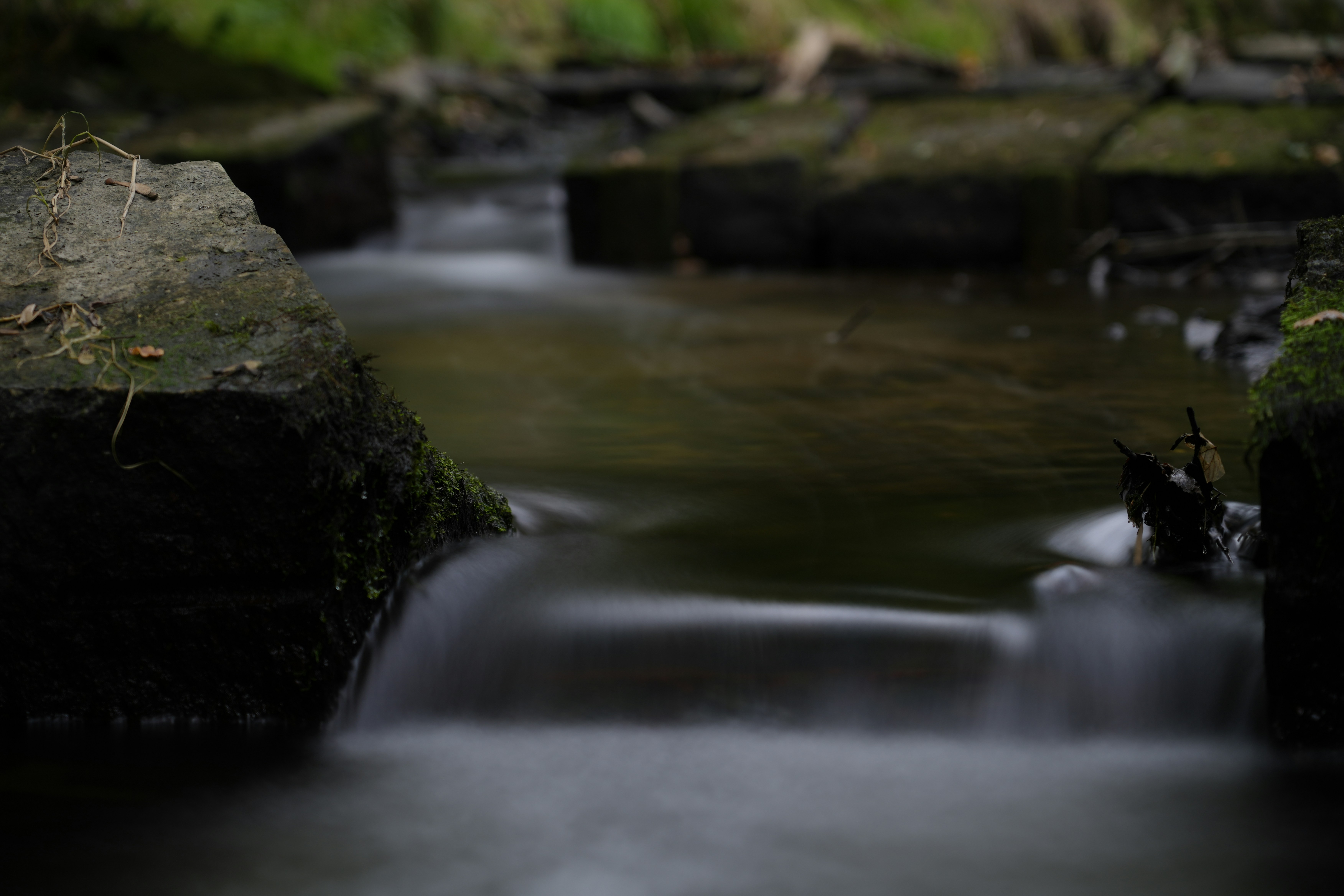 Photo by antjewinkler