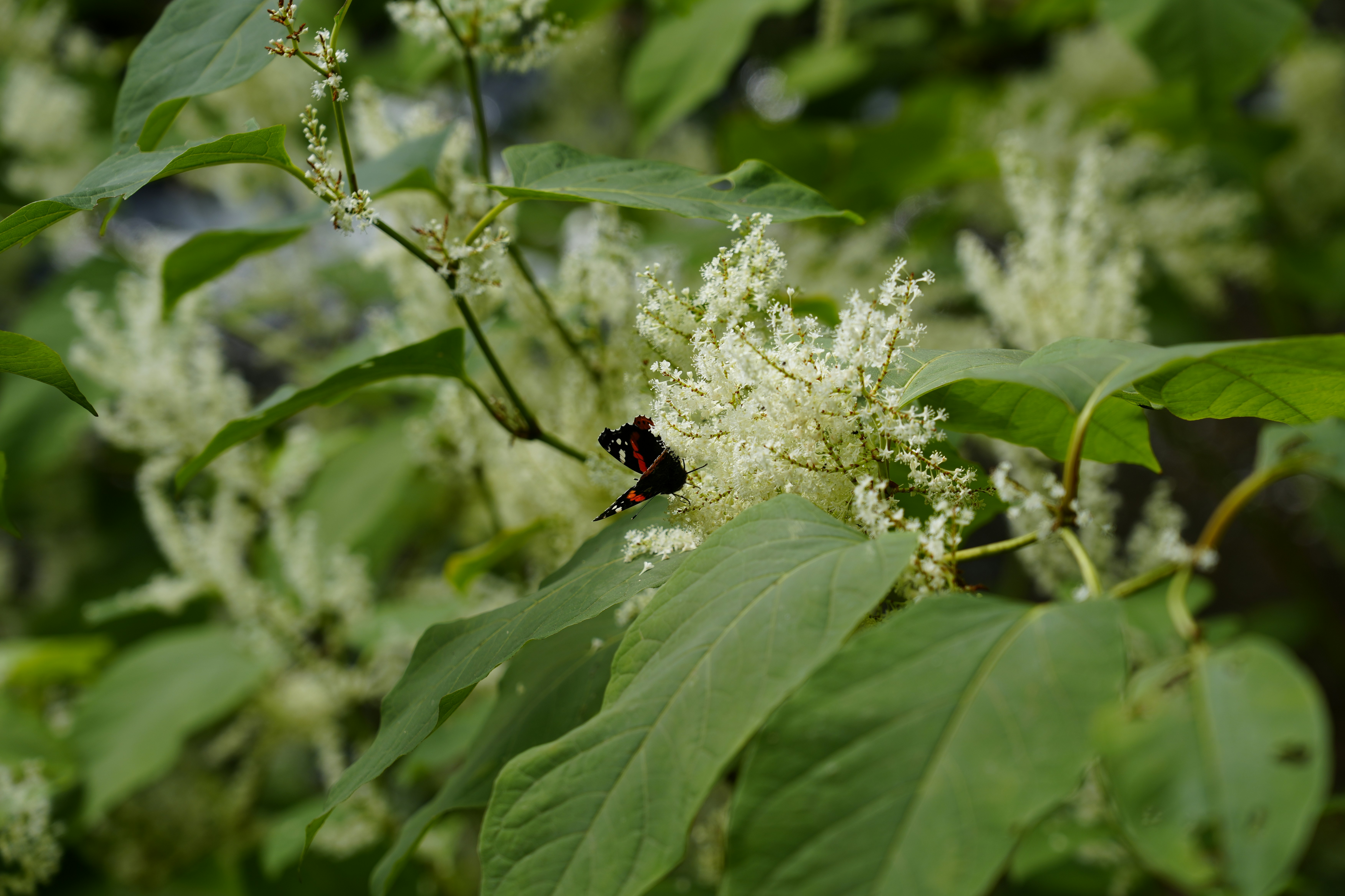 Photo by antjewinkler