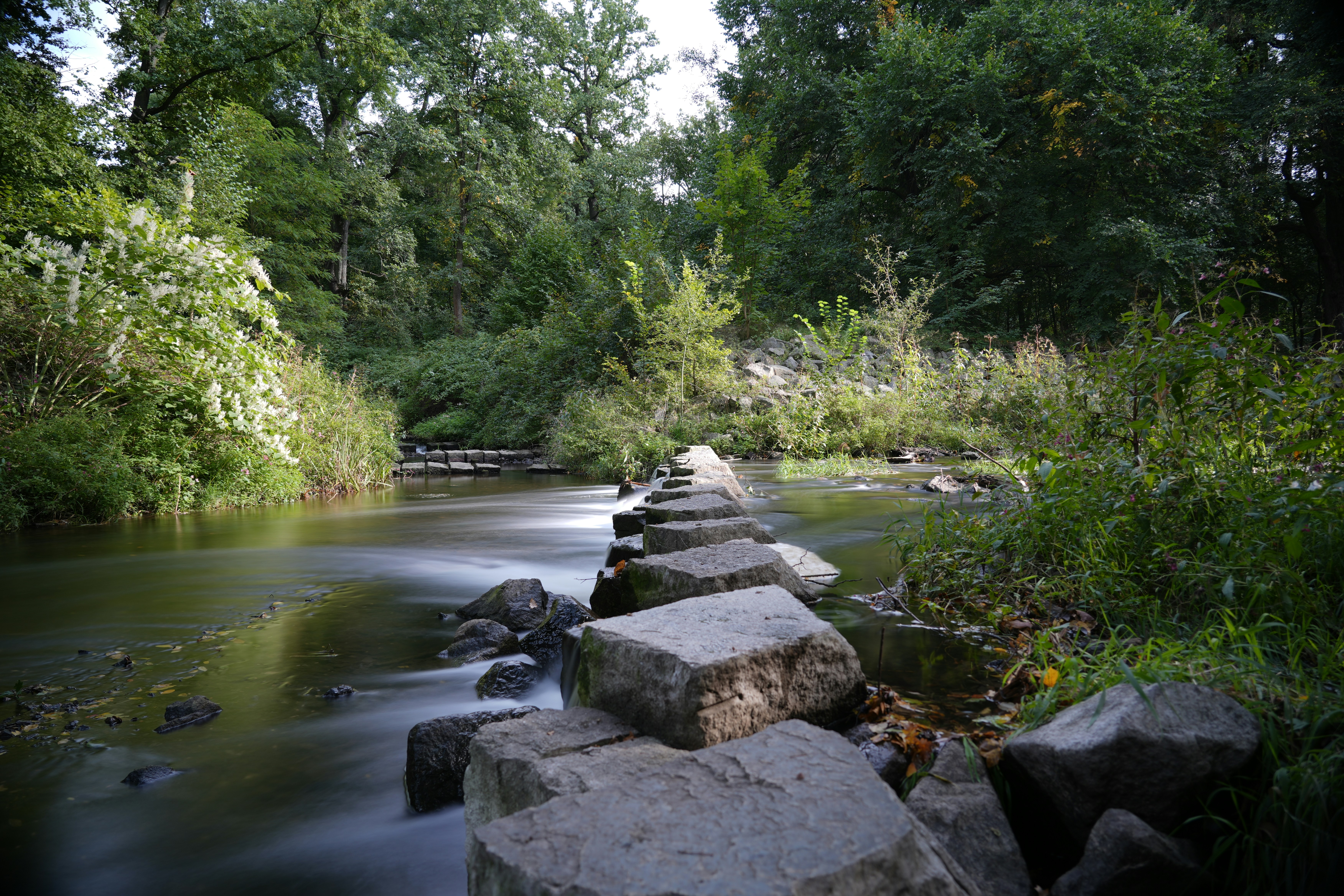 Photo by antjewinkler