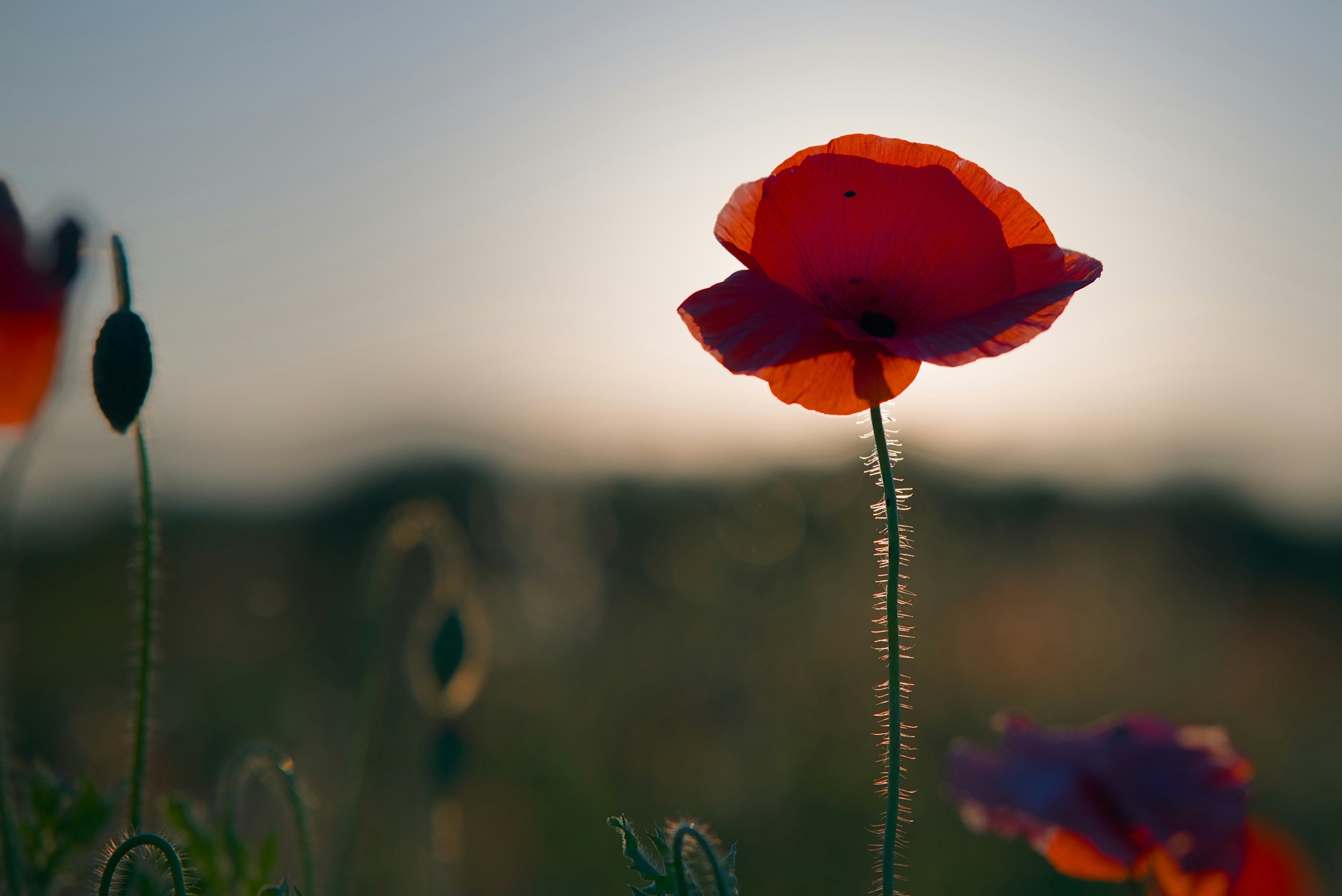 Photo by michalborejszo