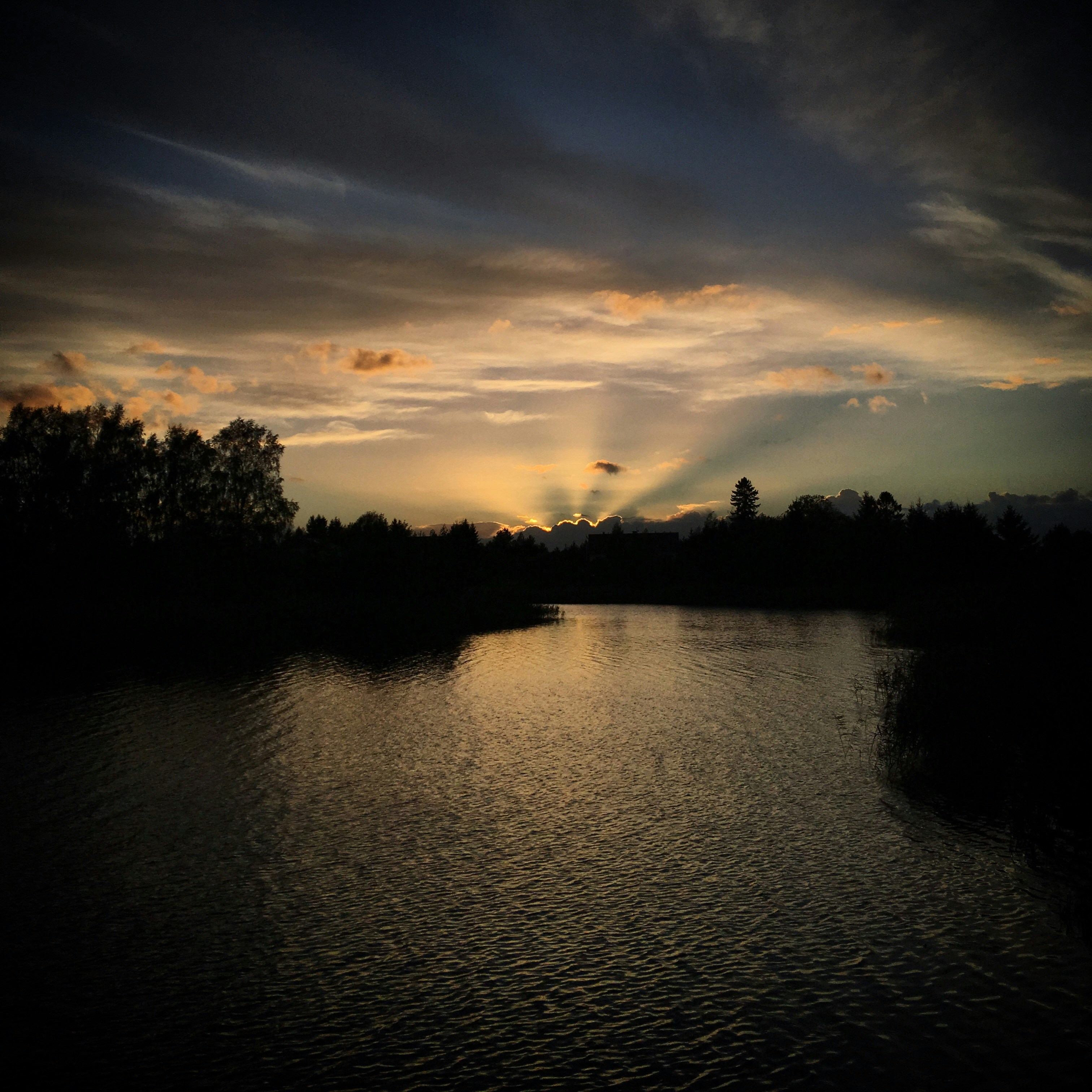 Photo by sergei_gussev