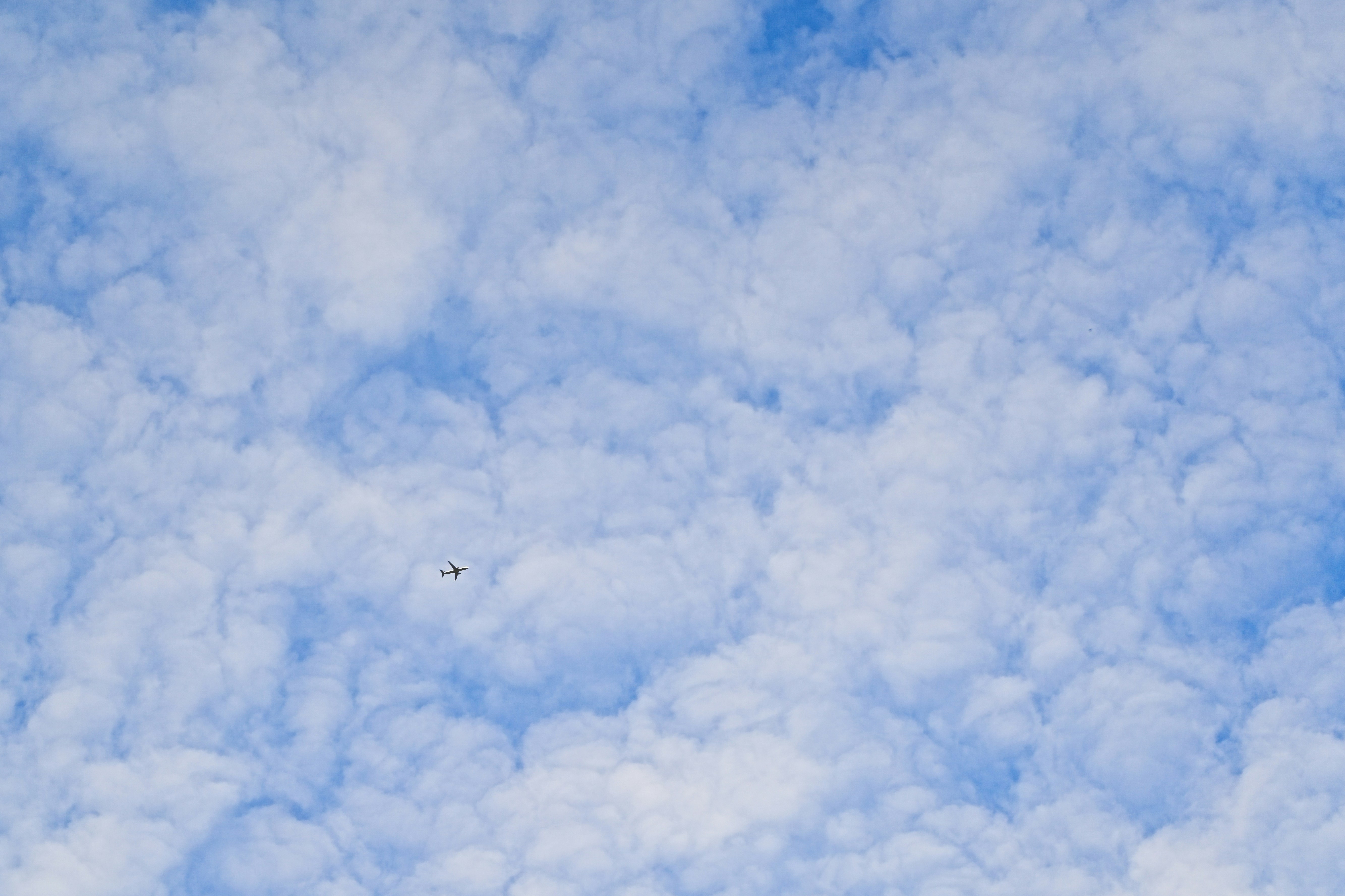 Nubes blancas y esponjosas se dispersaban por un cielo azul brillante