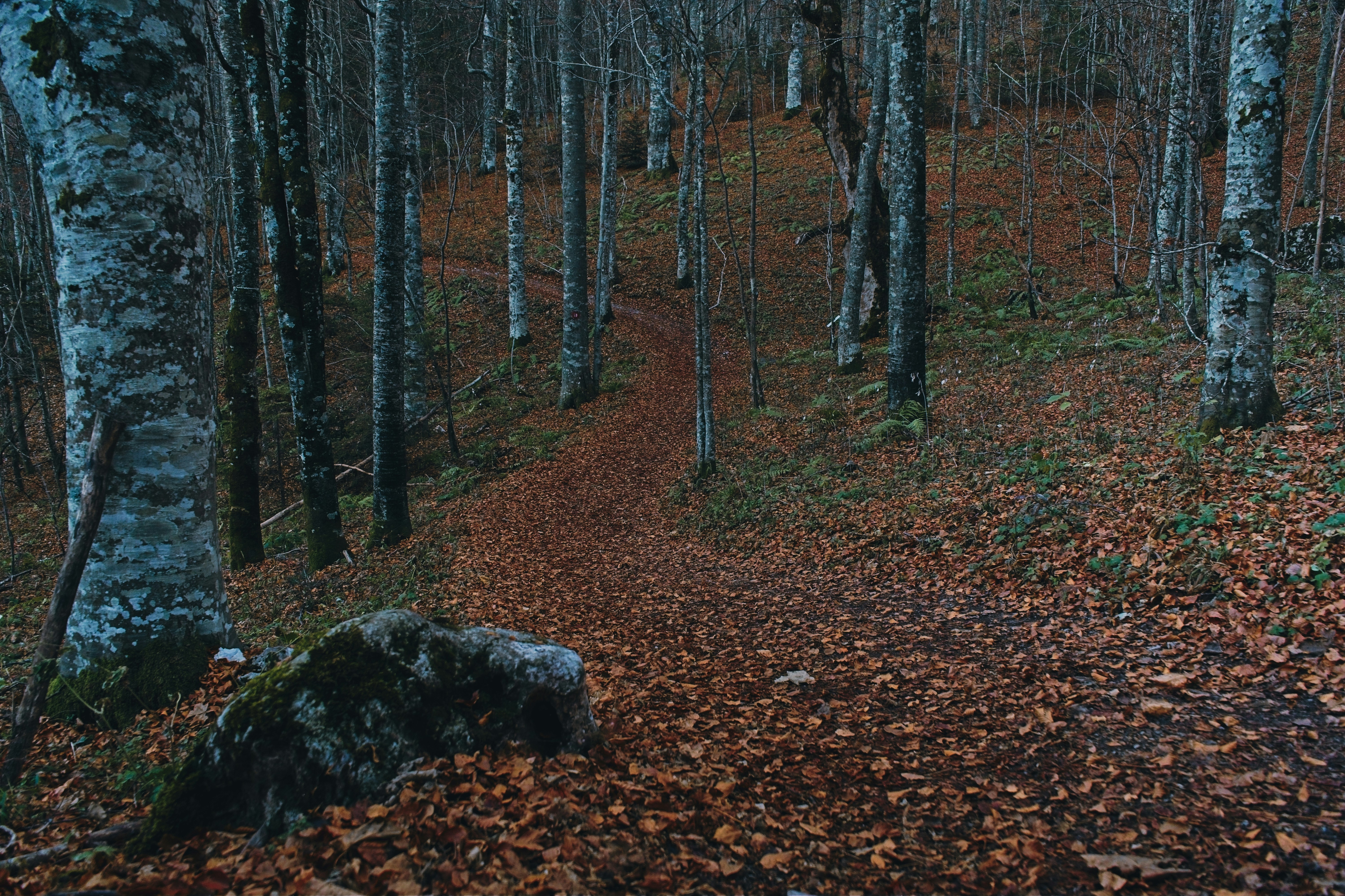 Photo by nedimshoots