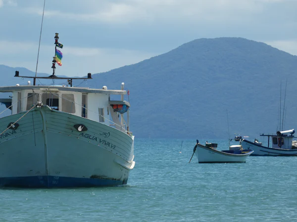 Barcos de pesca ancorados em mar calmo