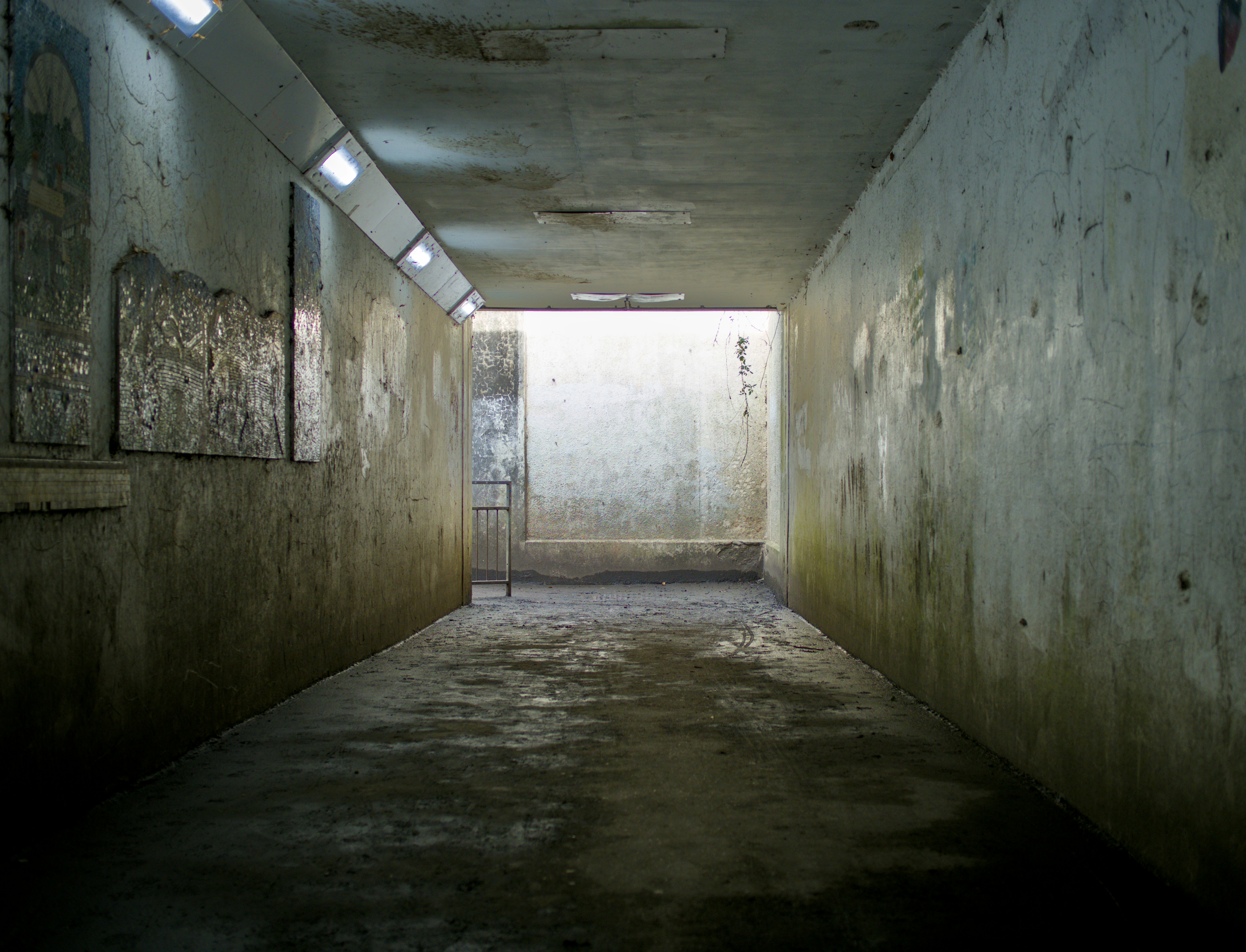 Photo by alexanderpharwood