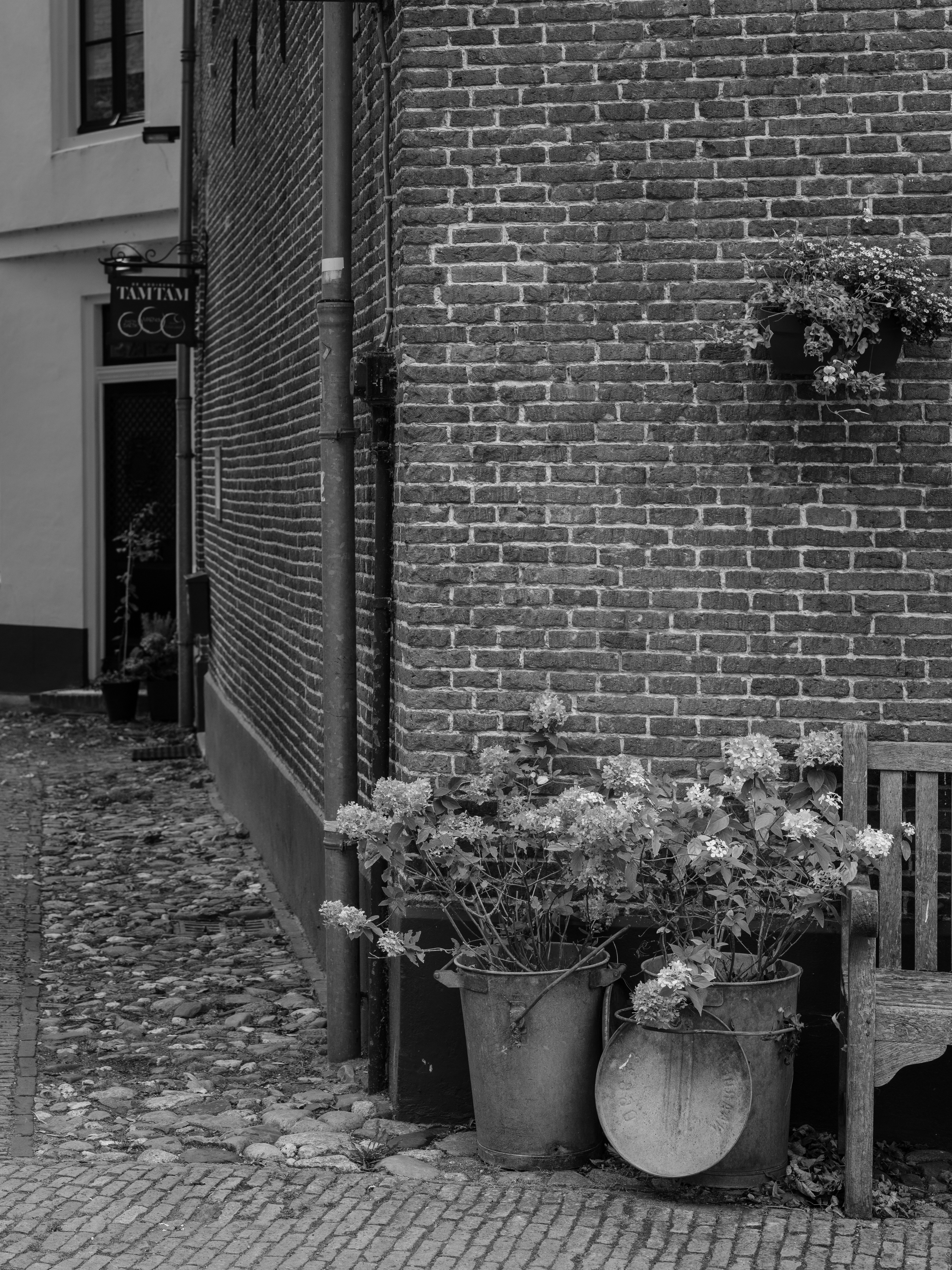 Photo by haberdoedas