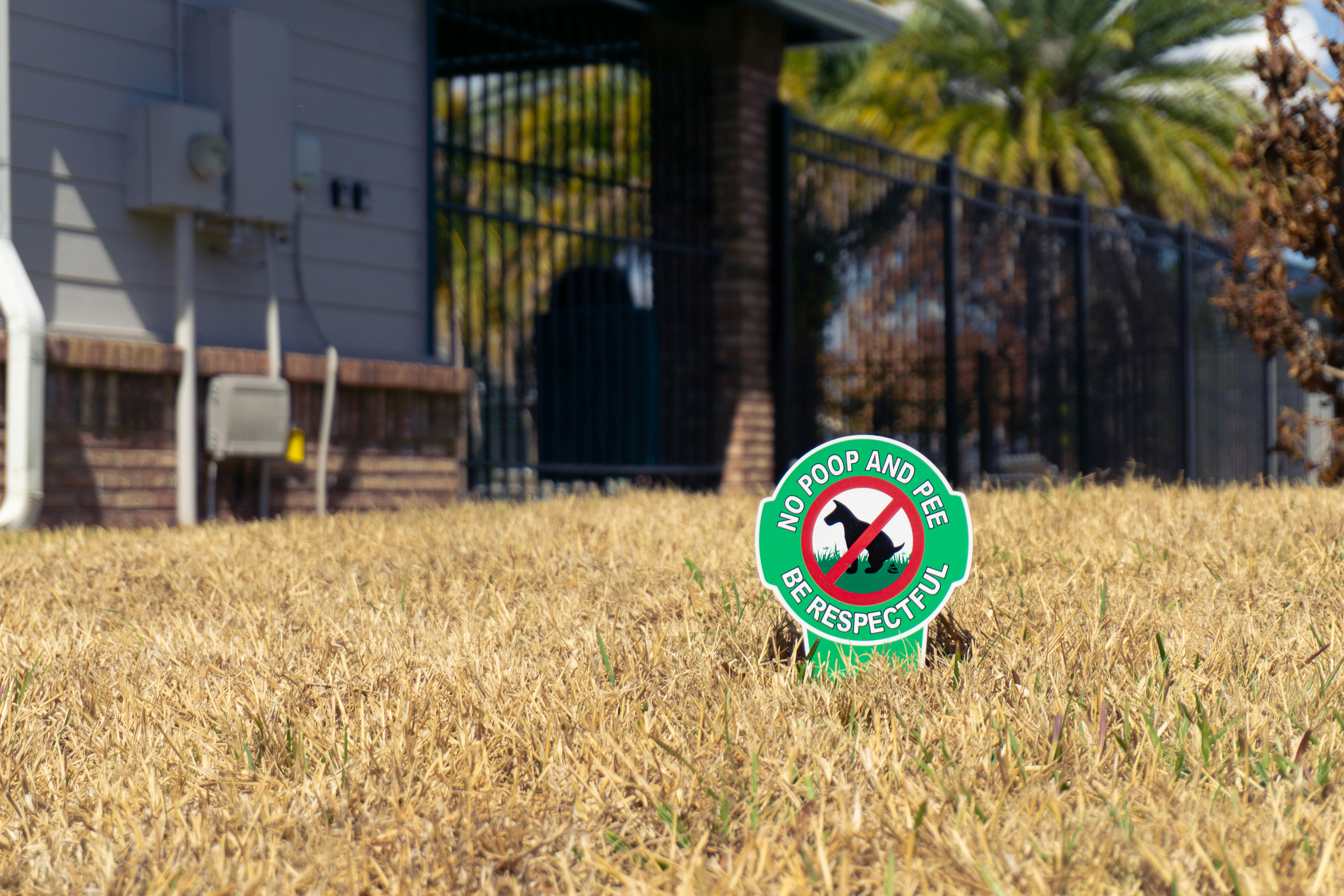 Warning Signs Your Dog Needs a Vet Visit Guide