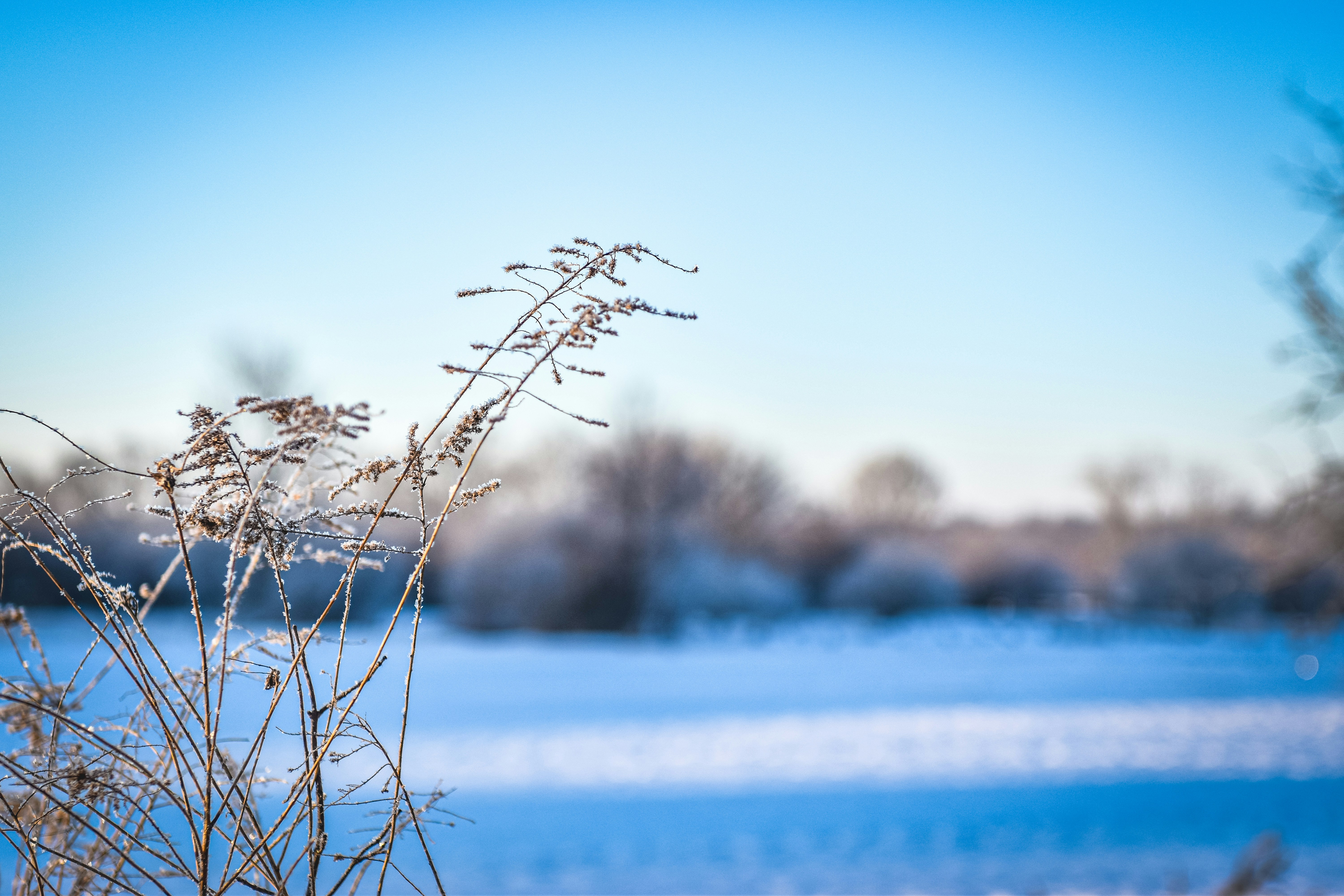 Photo by freefolkphoto