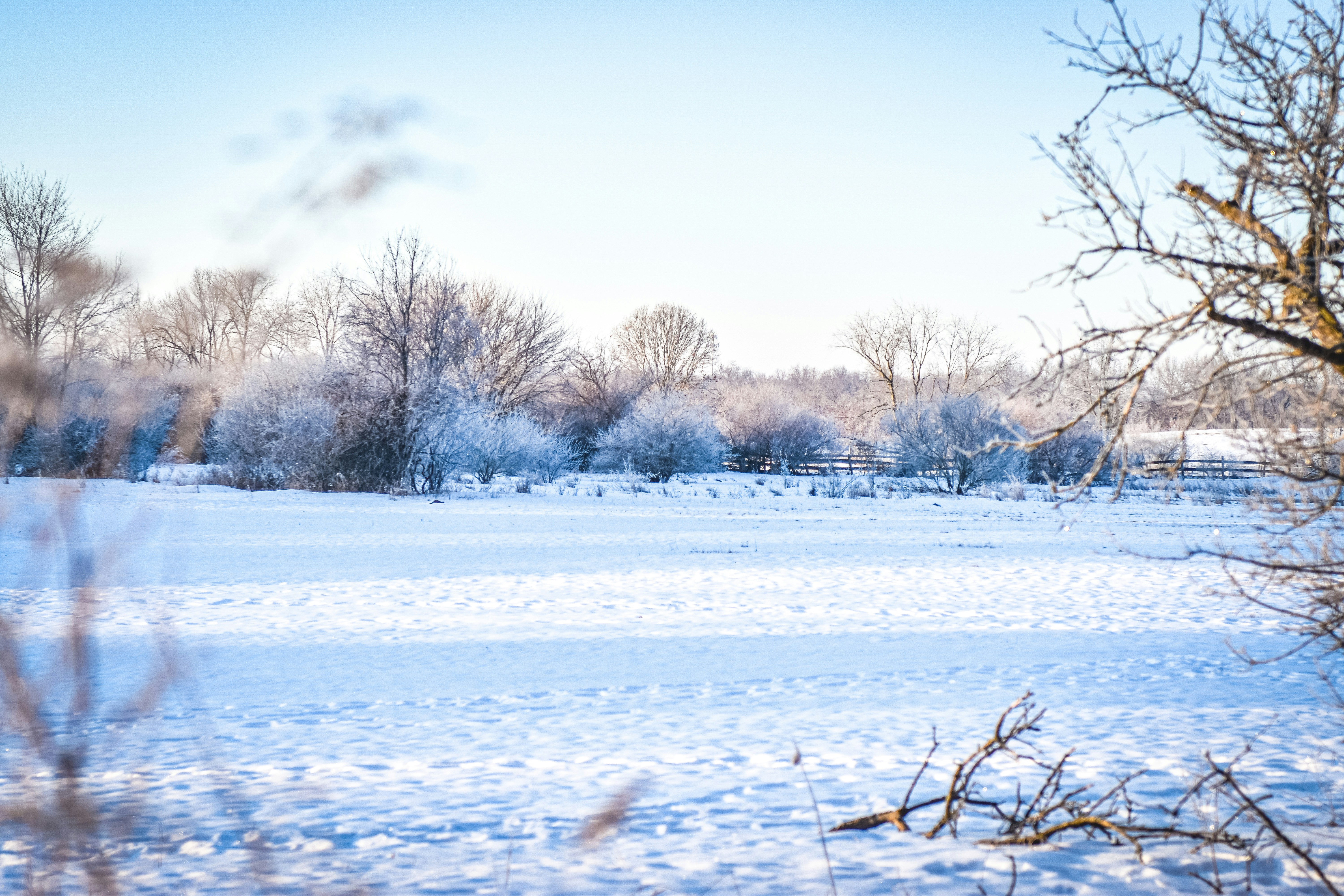 Photo by freefolkphoto