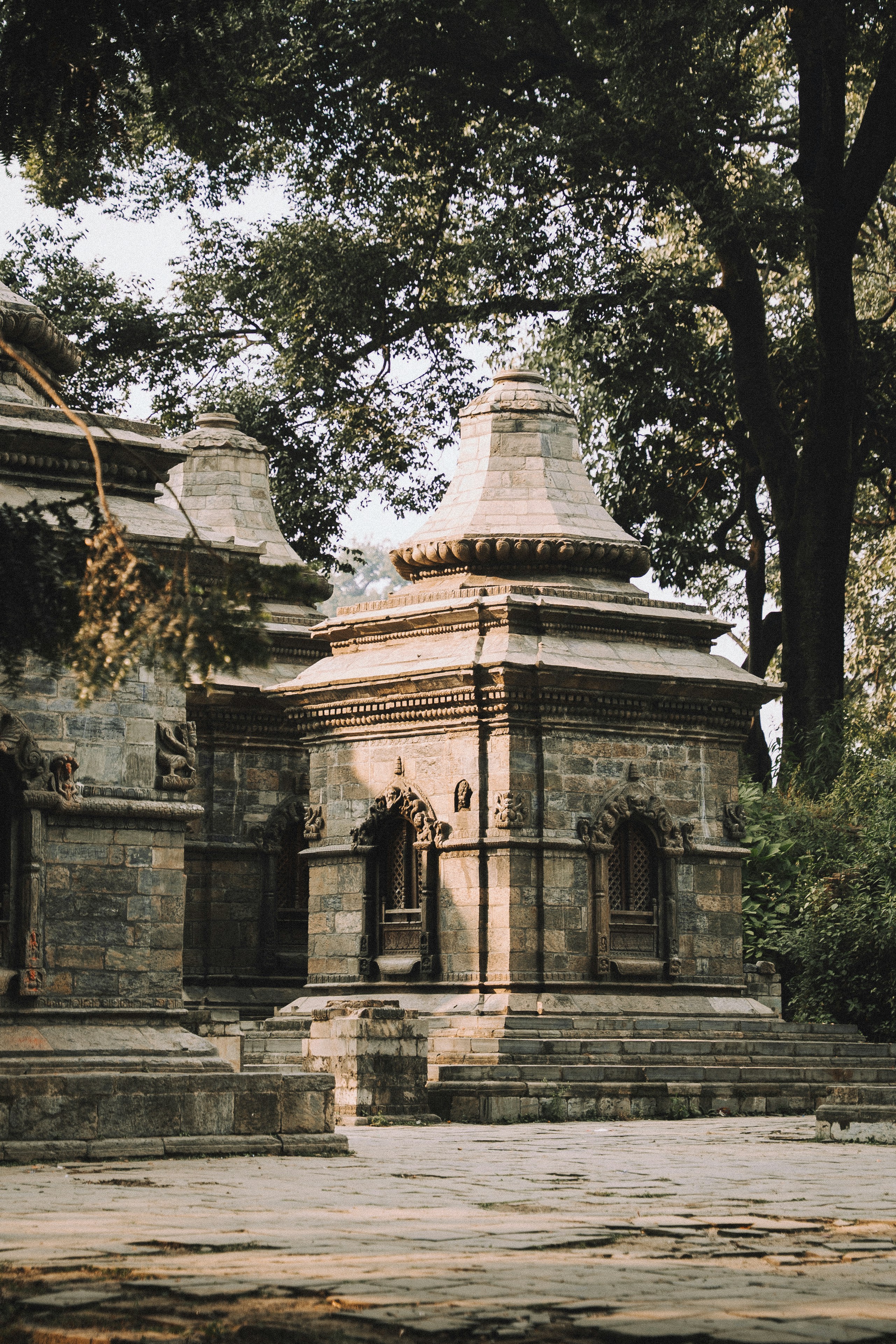 Ancient stone temple structures surrounded by trees