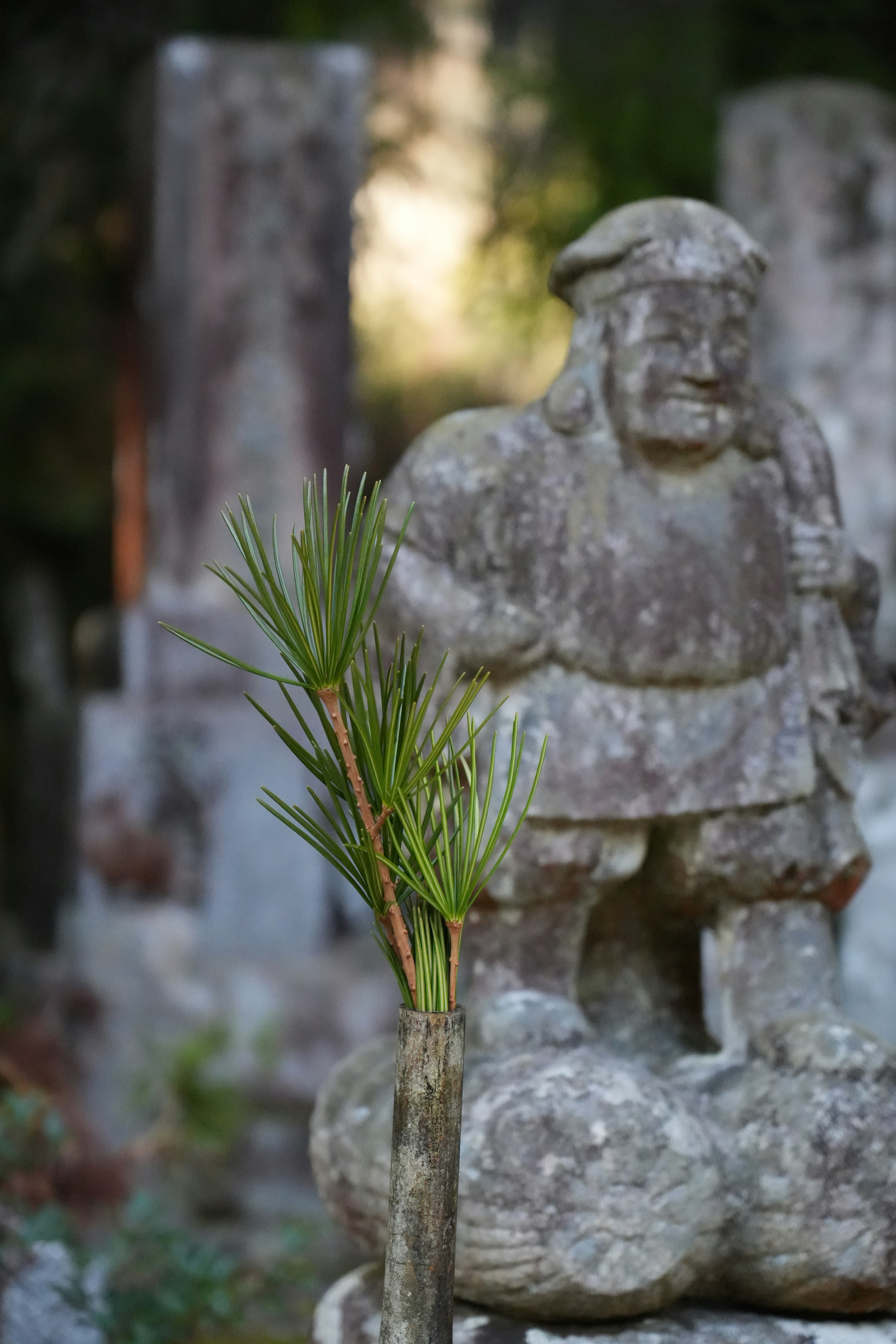 Photo by hakunamatata2025