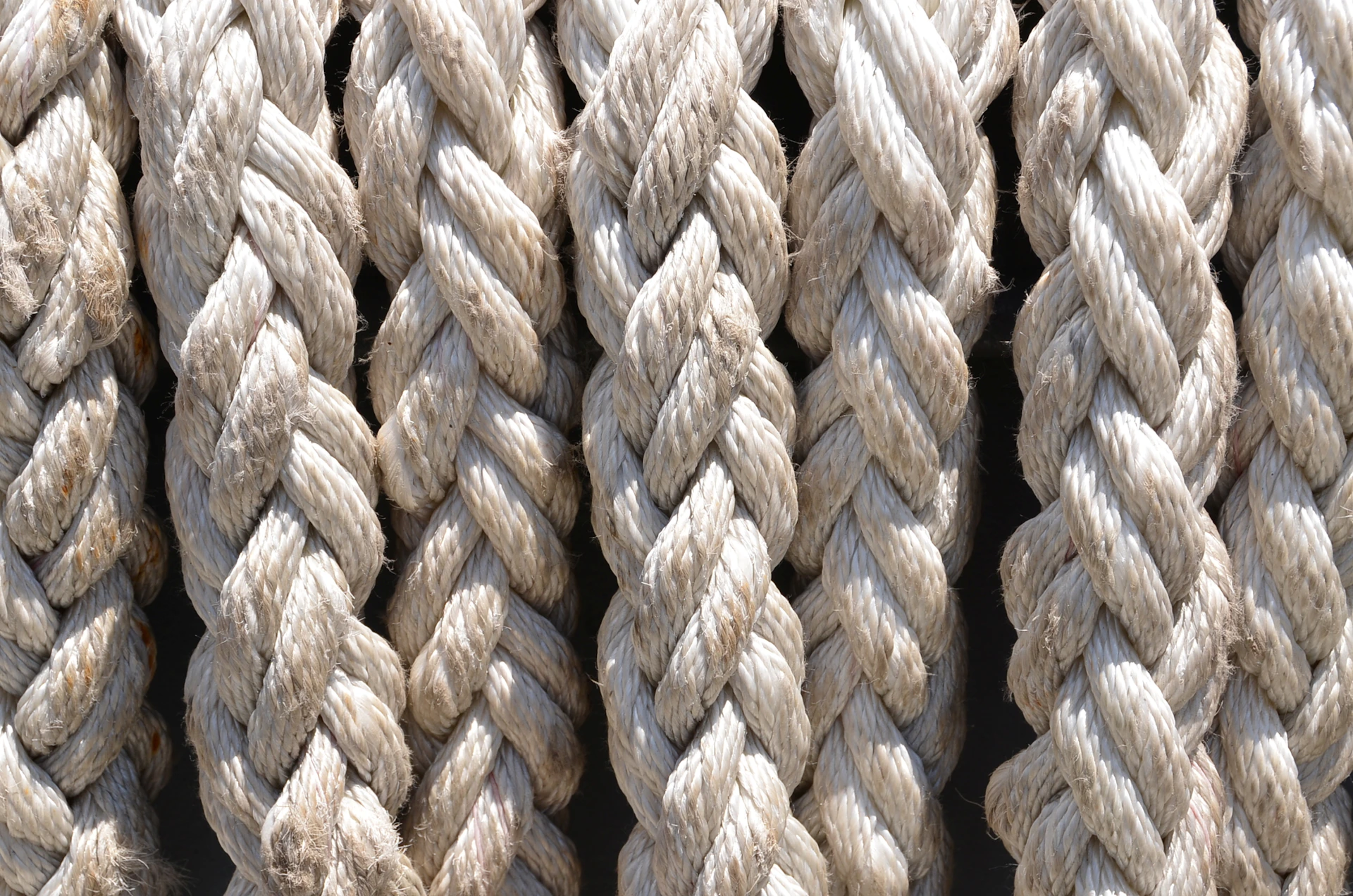 Thick braided ropes hanging vertically against a dark background
