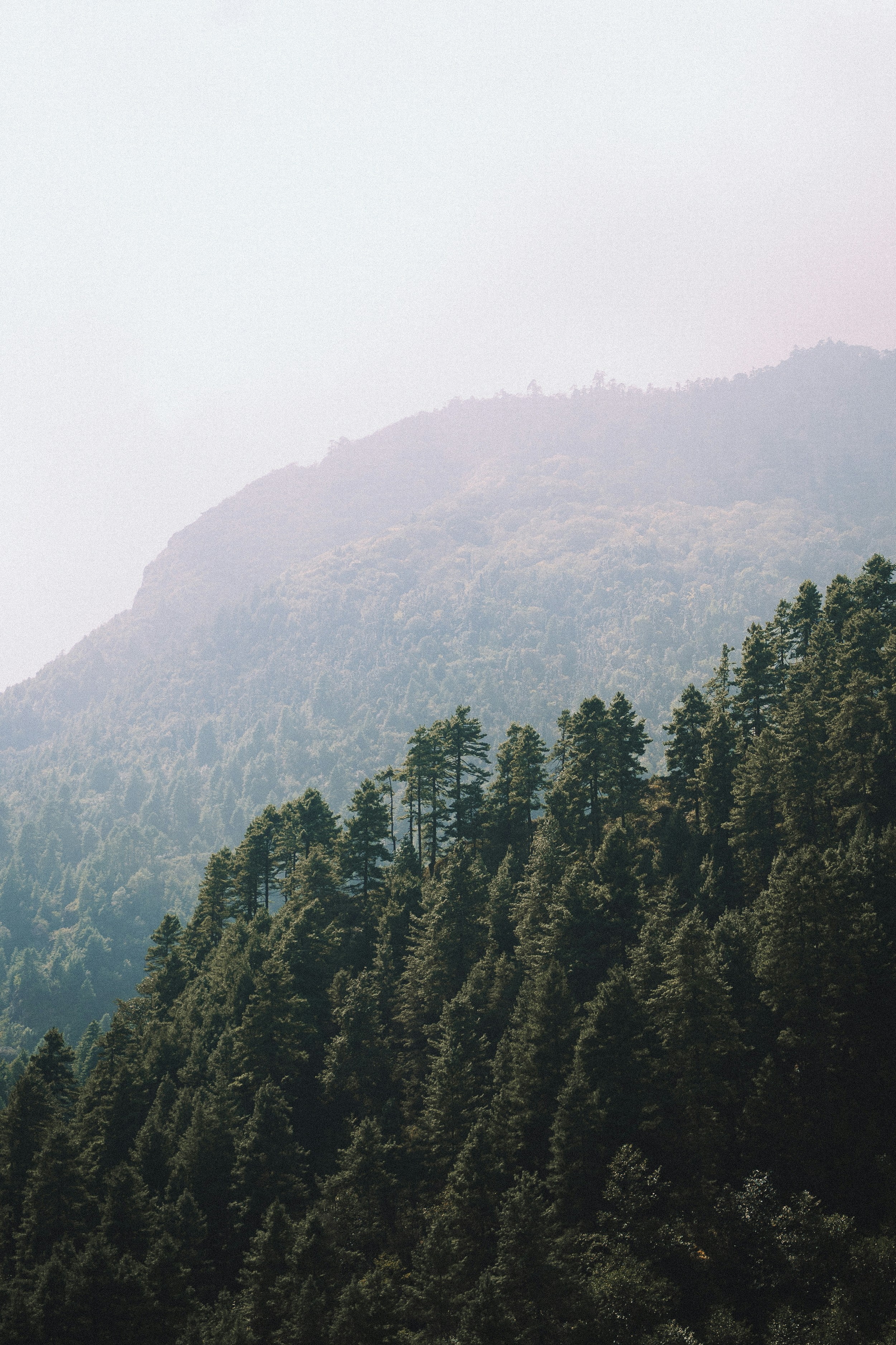 Photo by auchynnikau