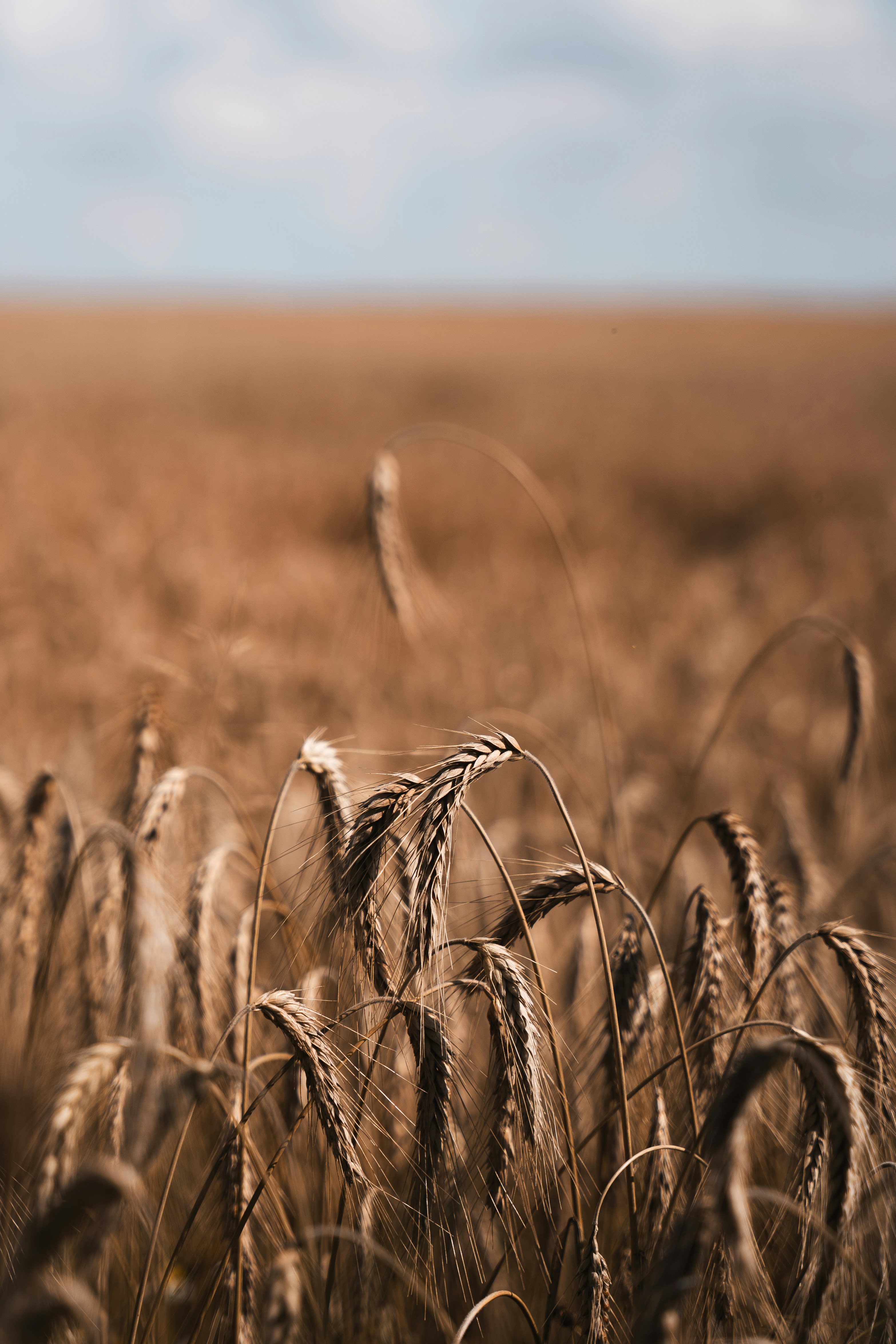 Photo by auchynnikau