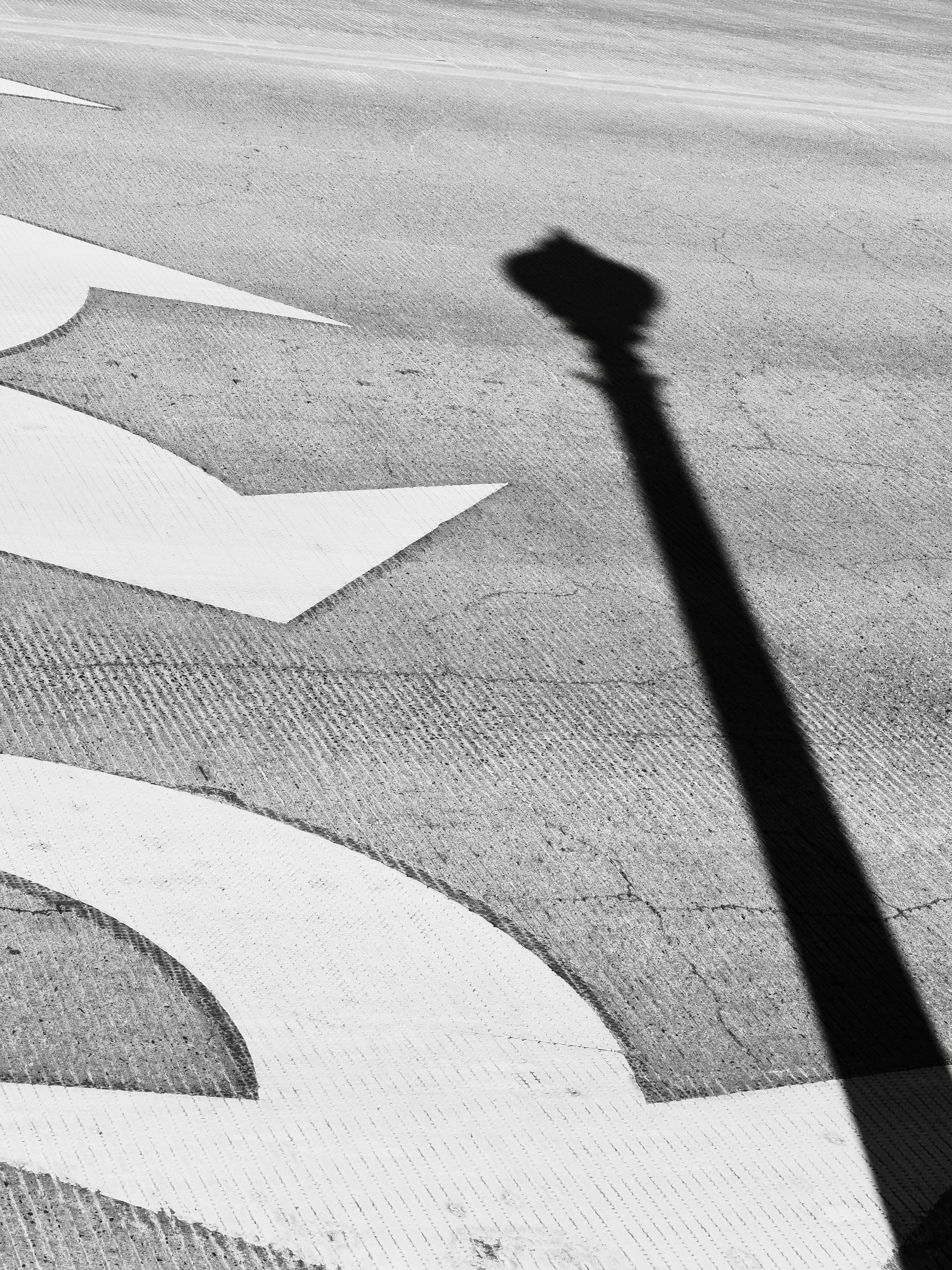 Photo by sschusterphotoart