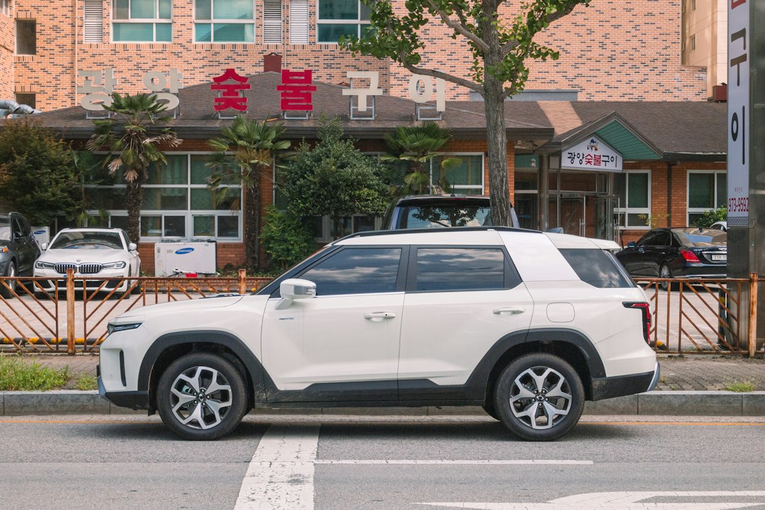 suv parked seaside
