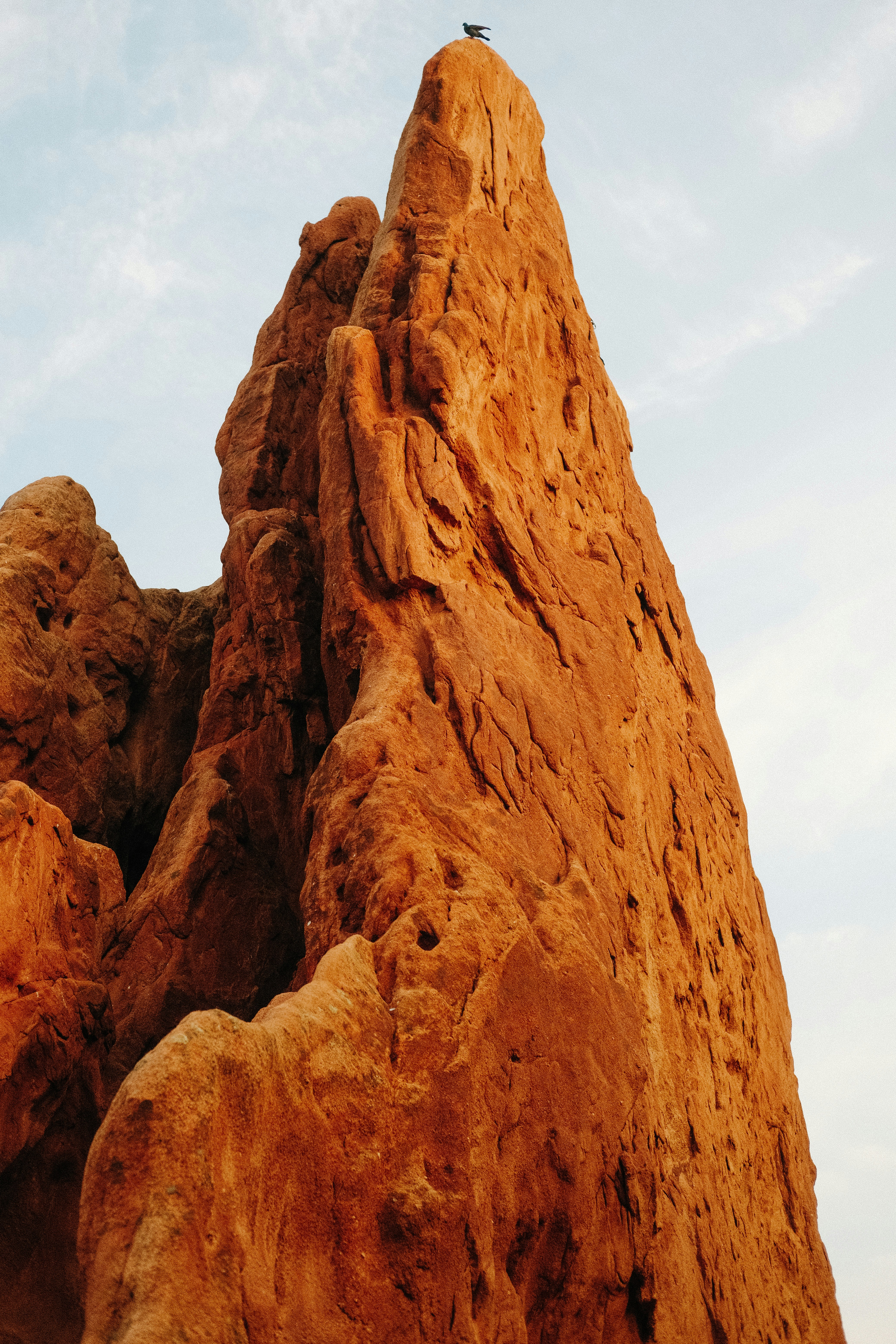 Photo by paularturotorres