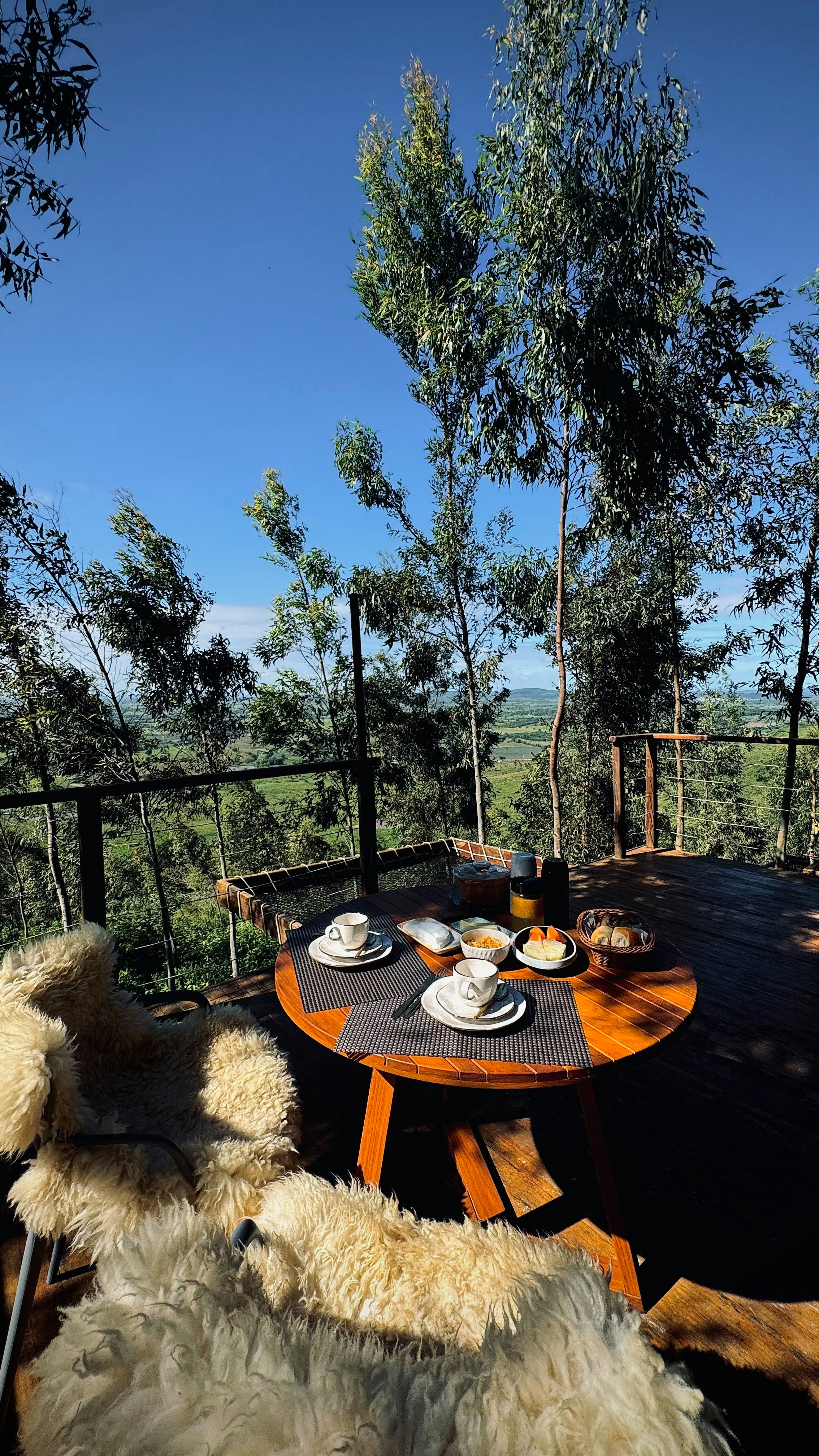 Breakfast table set on a deck overlooking a forest