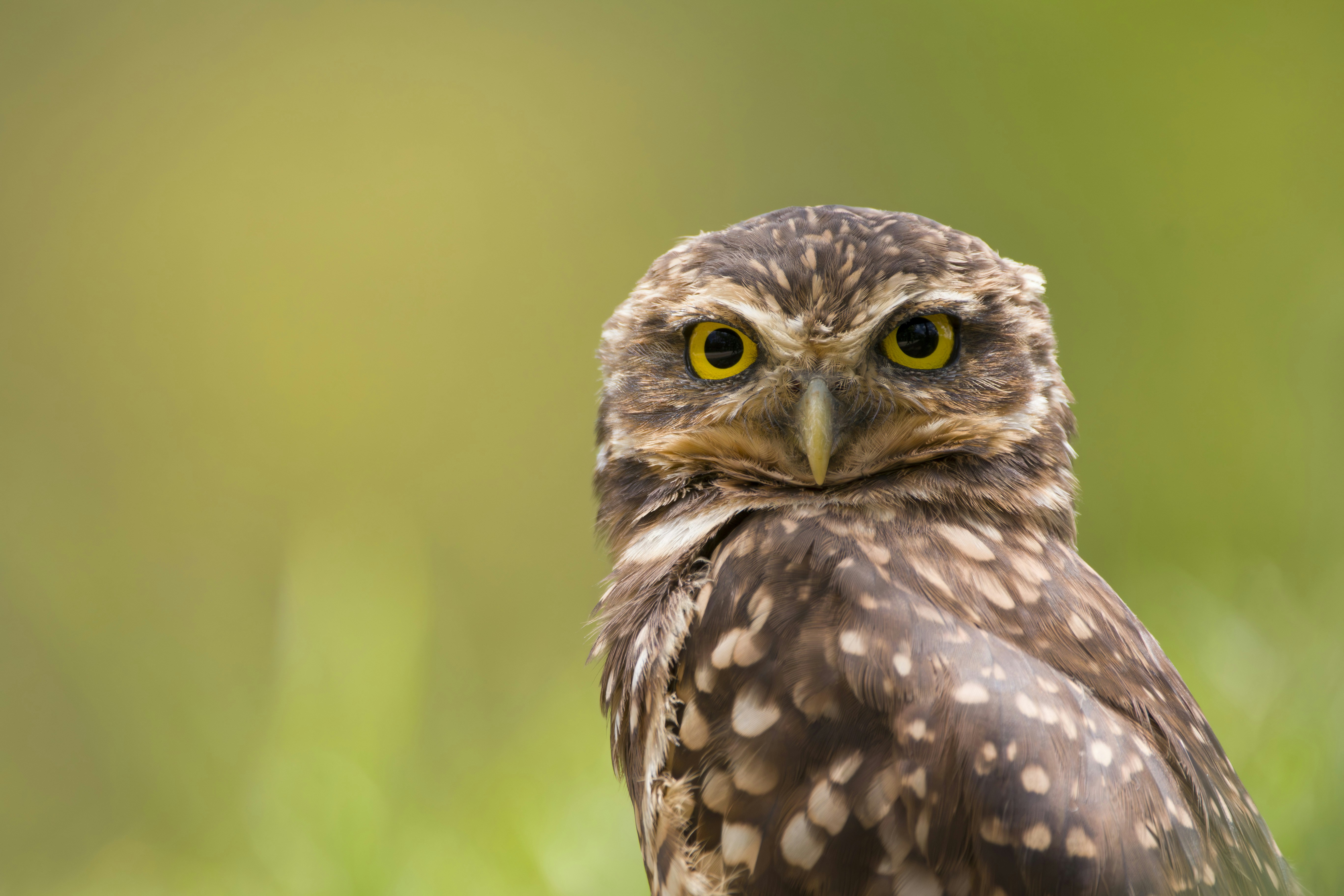 Photo by eversonvansoski