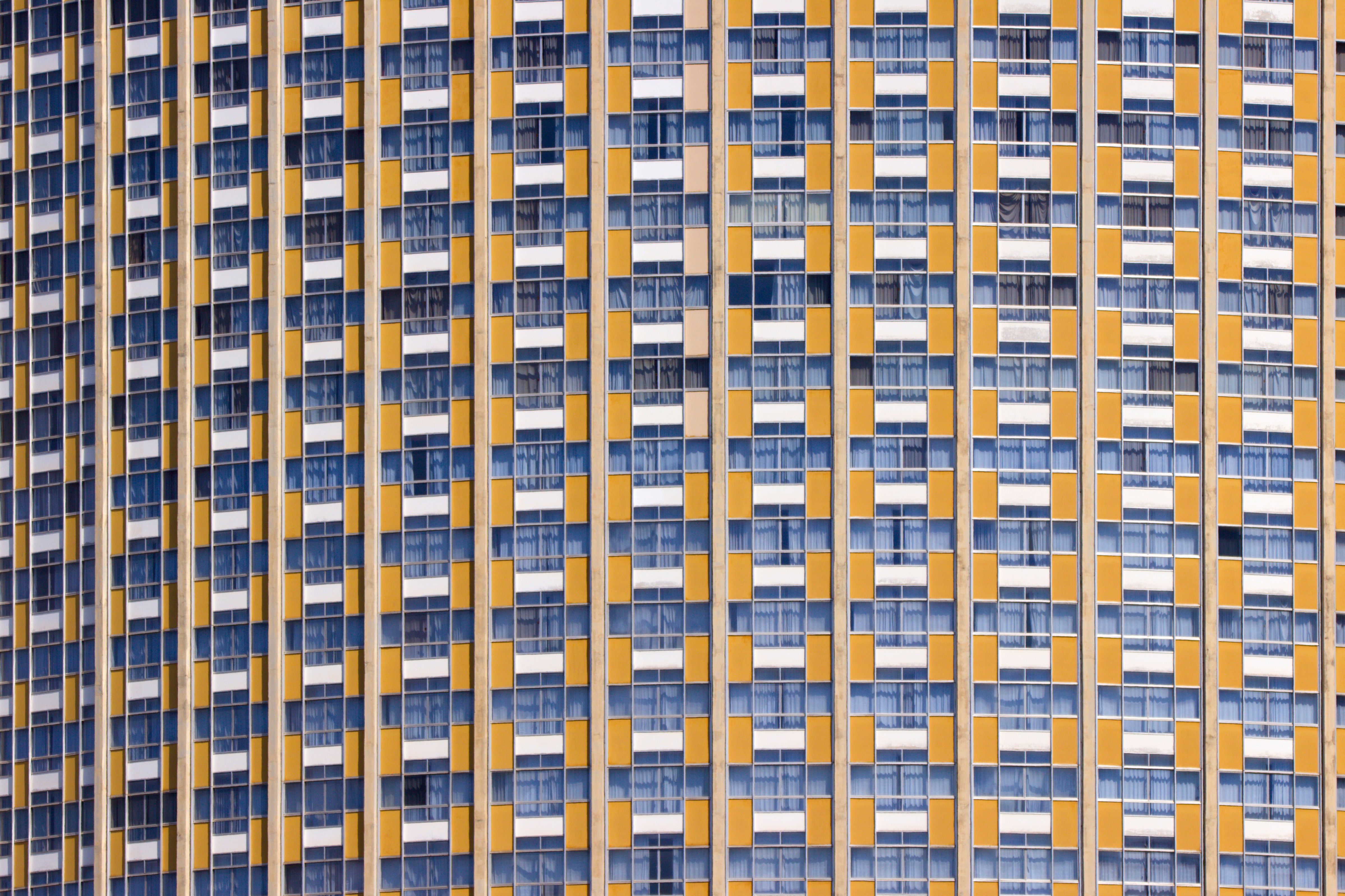 Photo by eversonvansoski