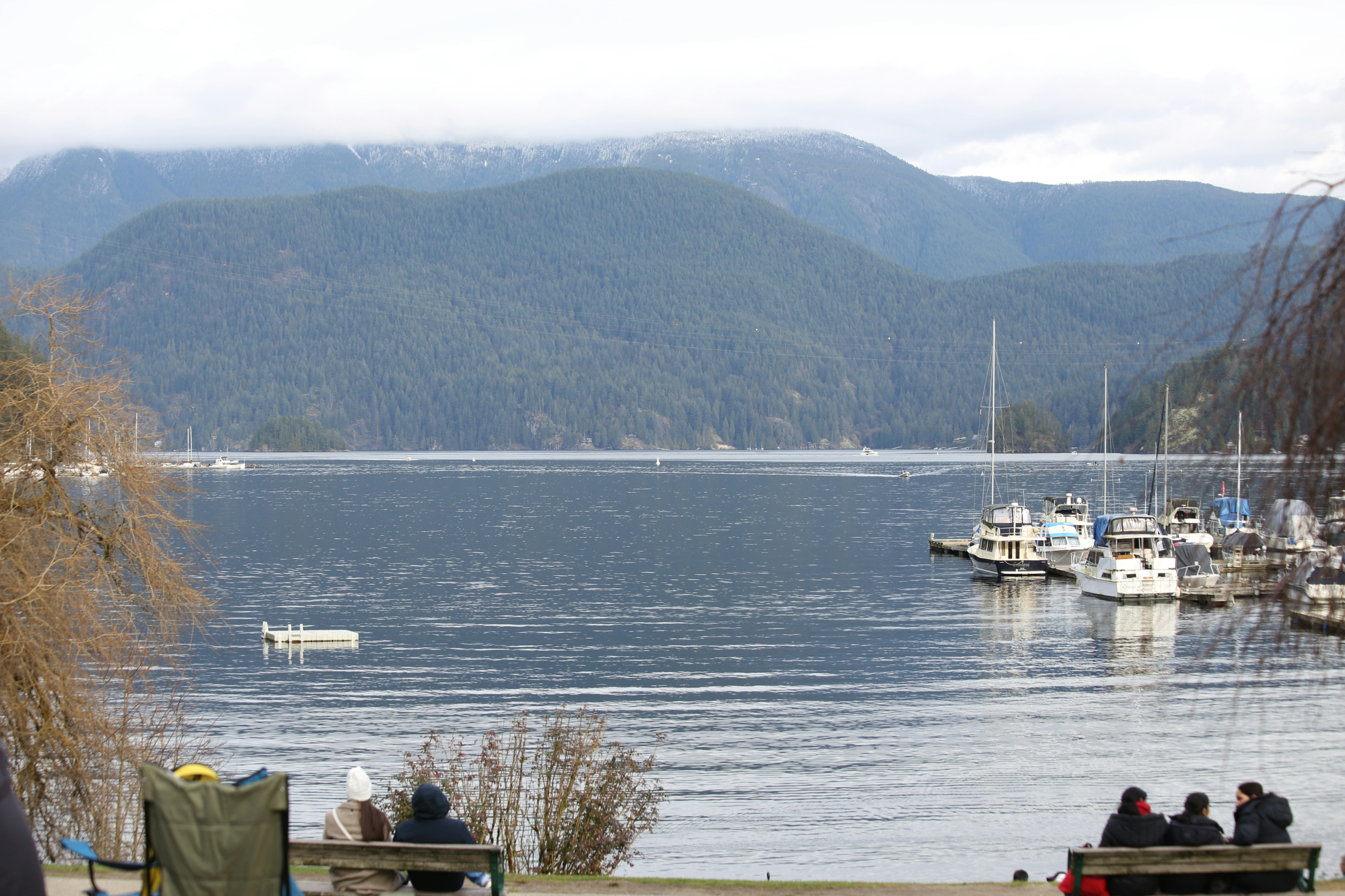 Boats docked in a calm bay with mountains in background