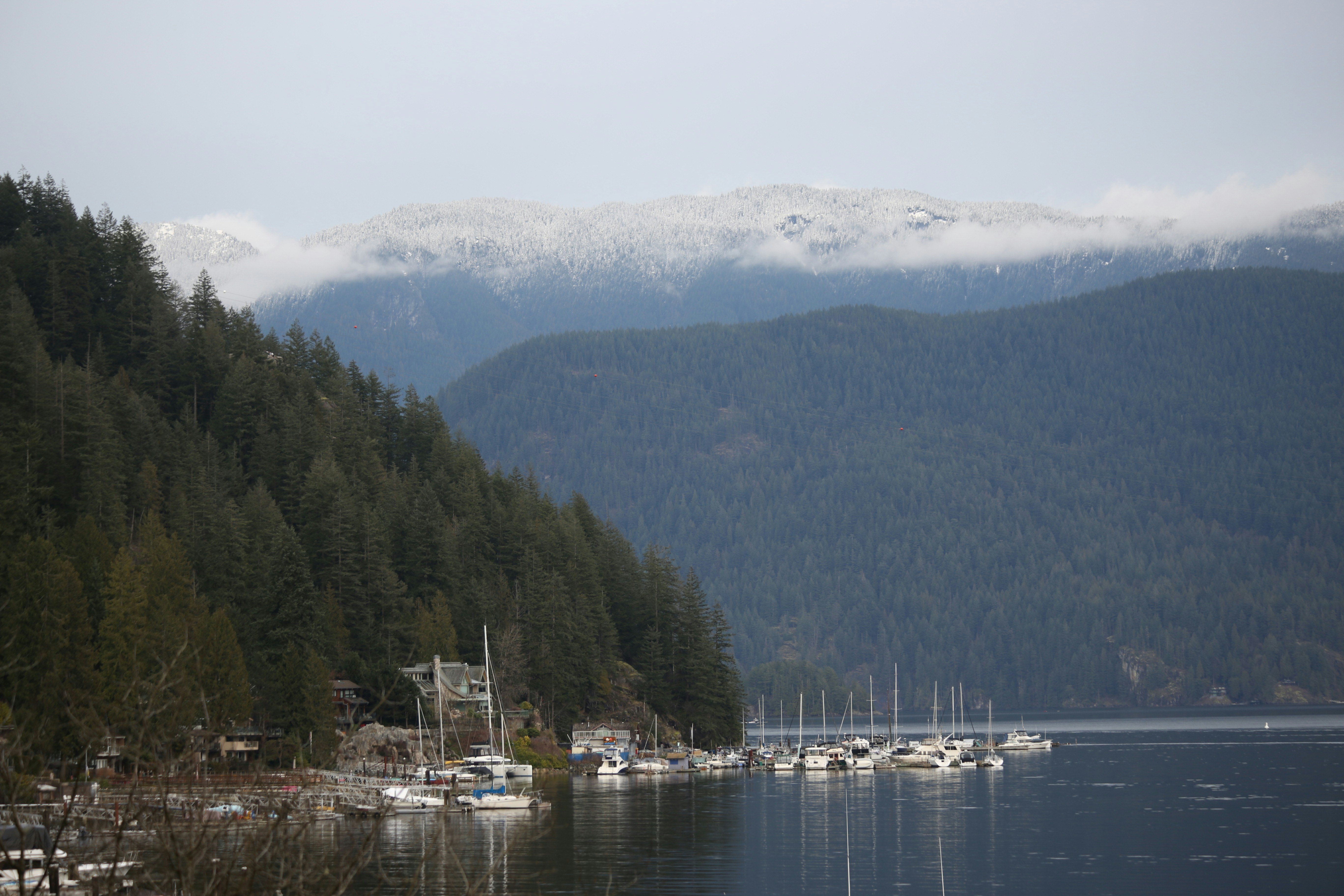 Sailboats docked in a calm bay with forested mountains.