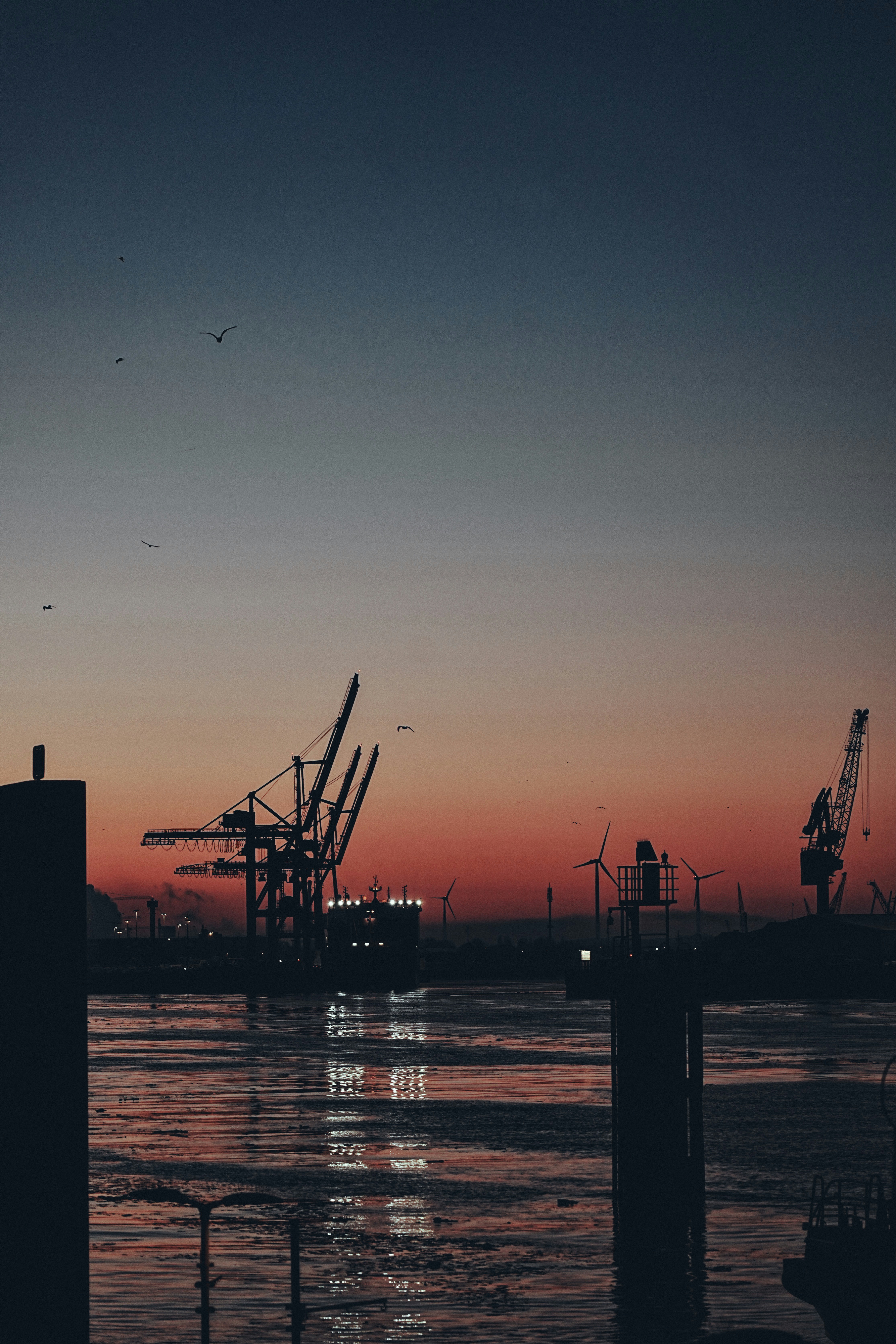 Ein veröffentlichtes Foto