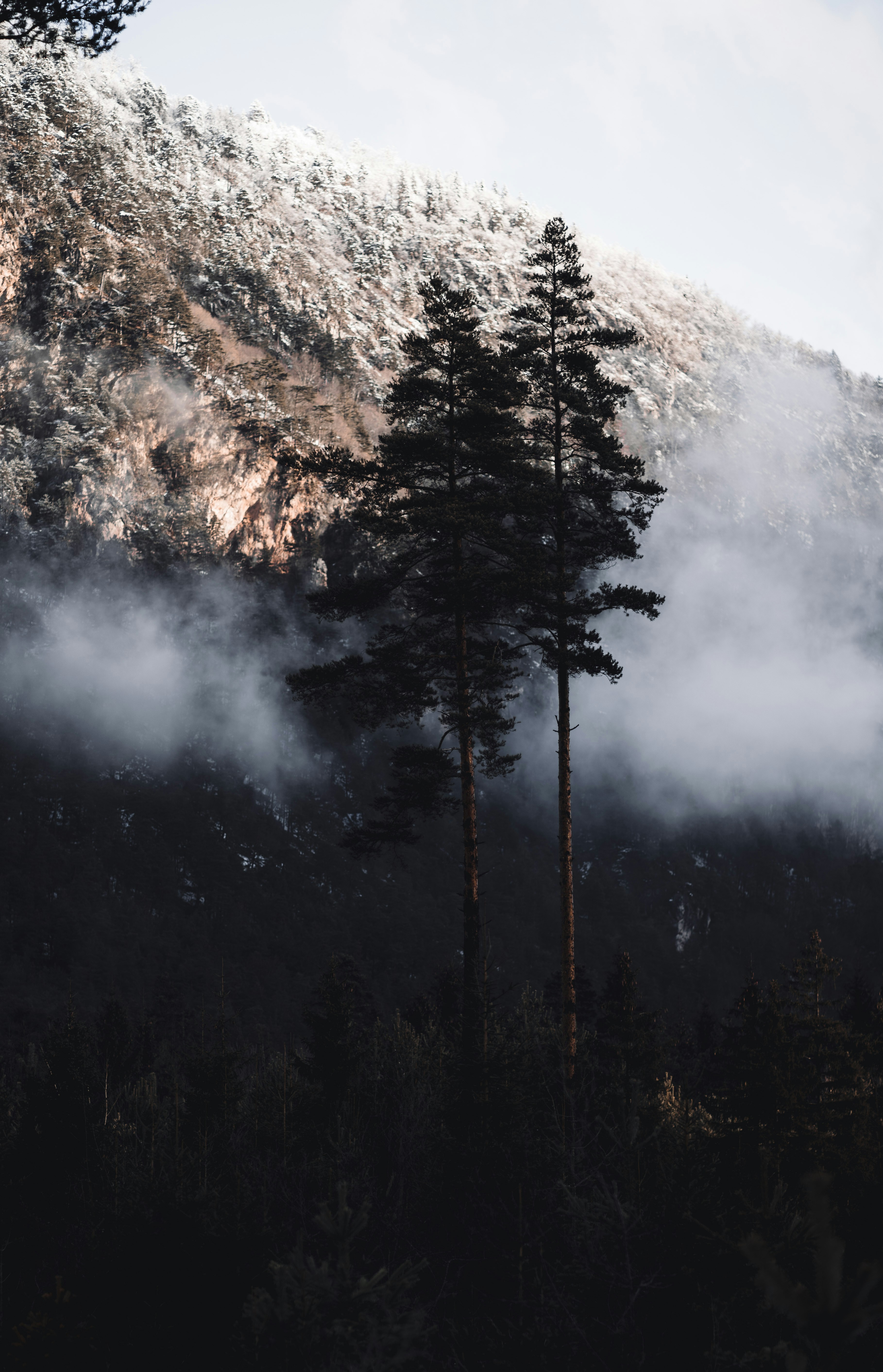 Photo by wild_projects