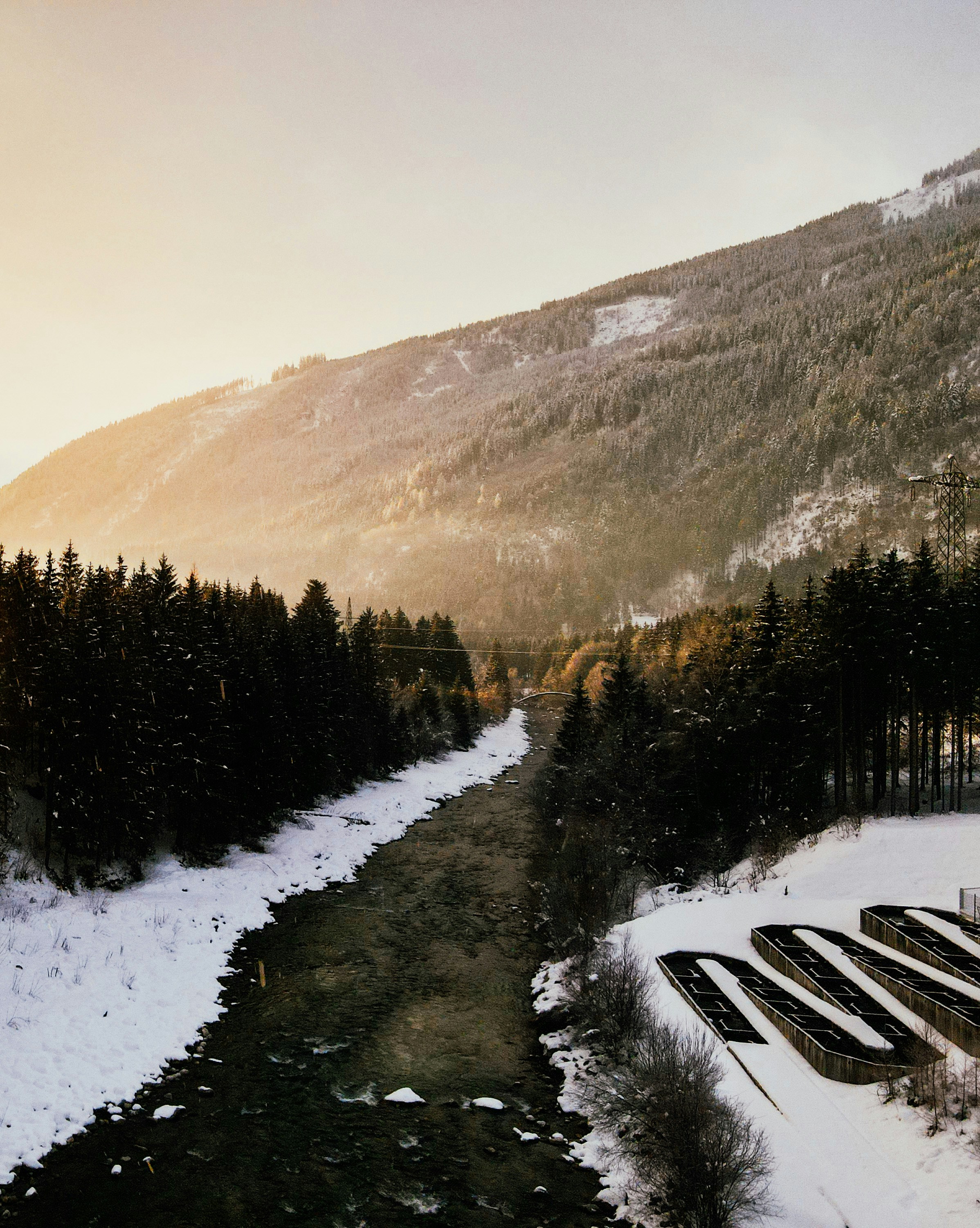 Snowy forest and river at sunset