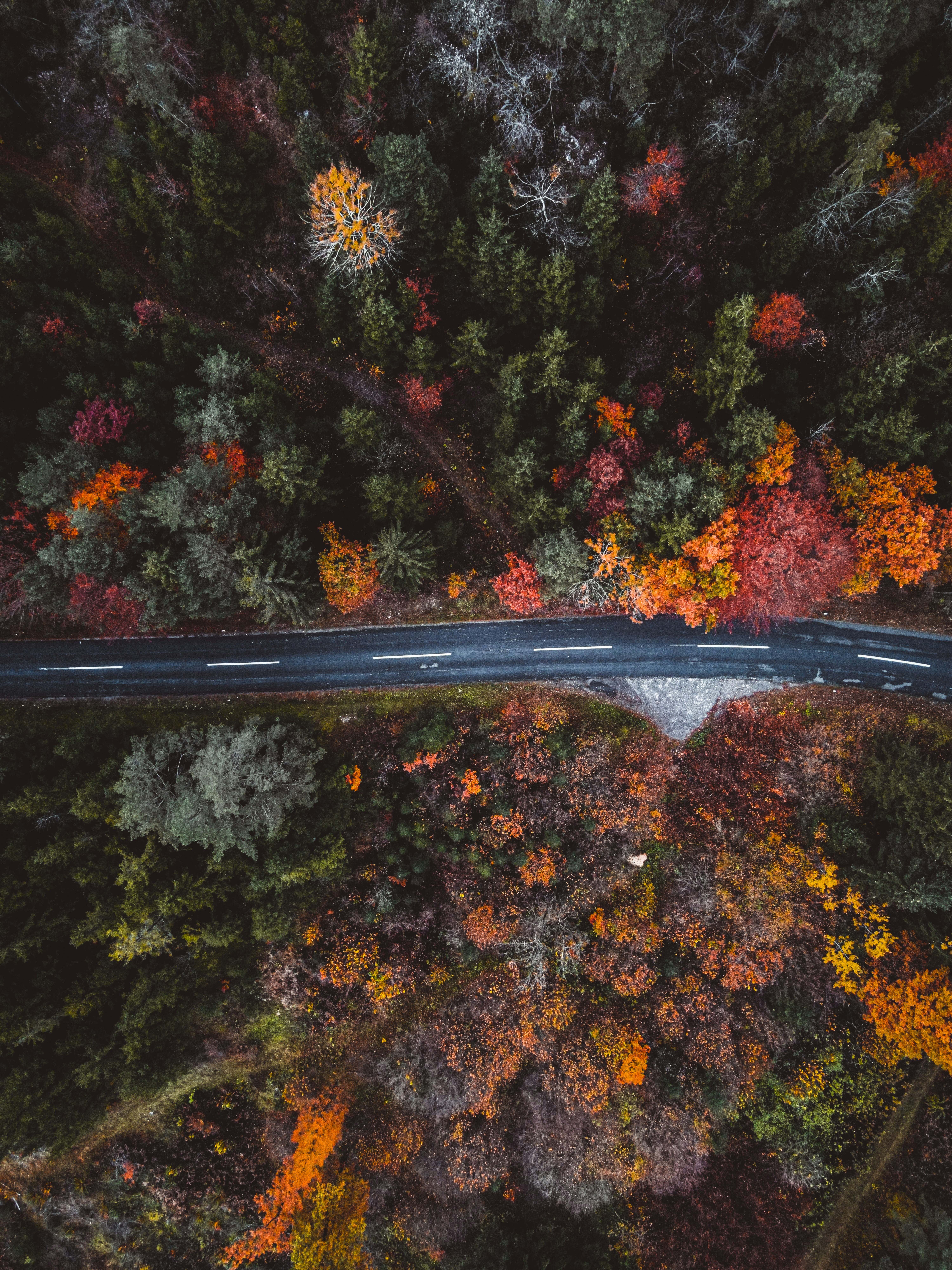 Photo by wild_projects