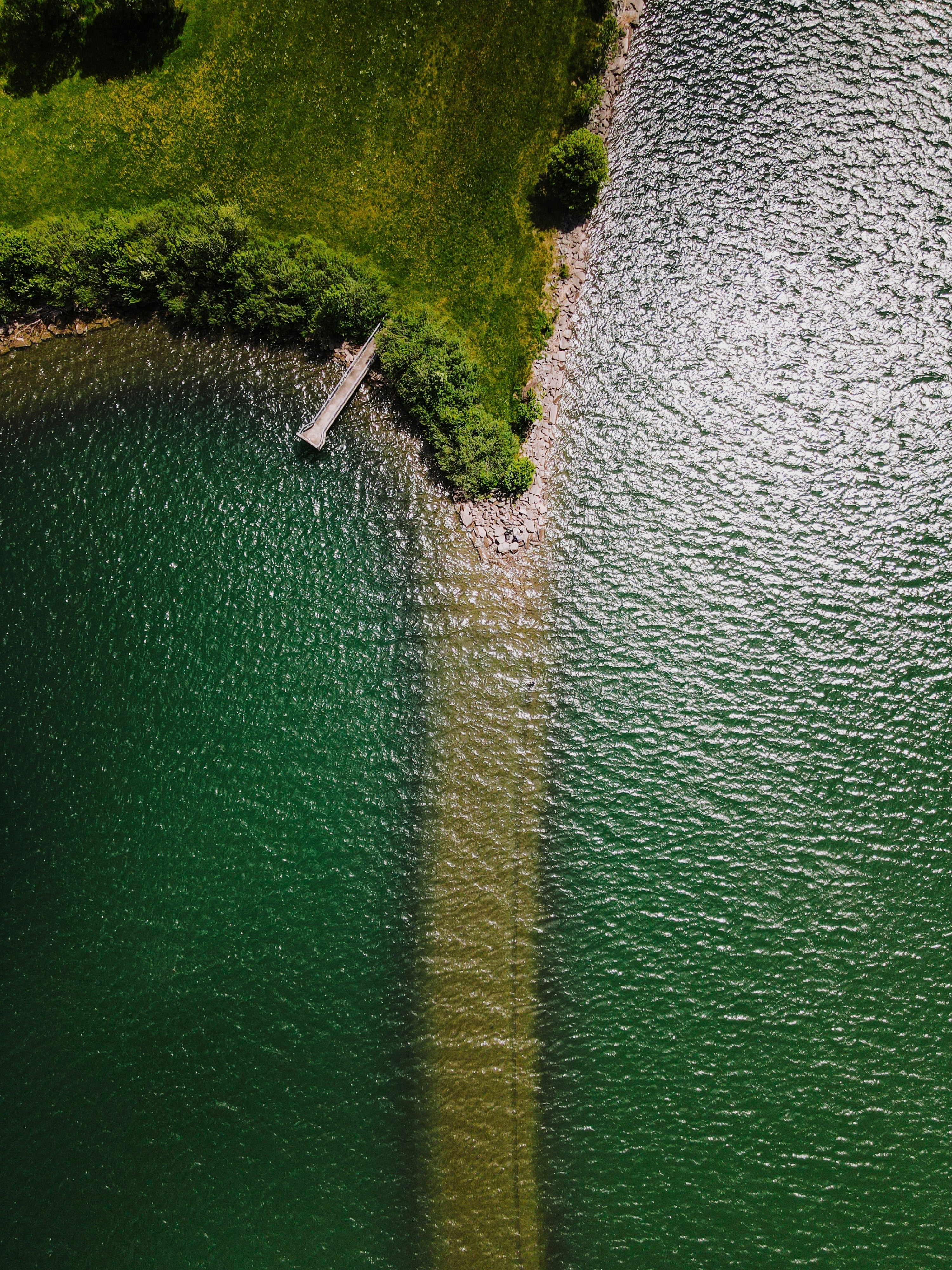 Photo by wild_projects