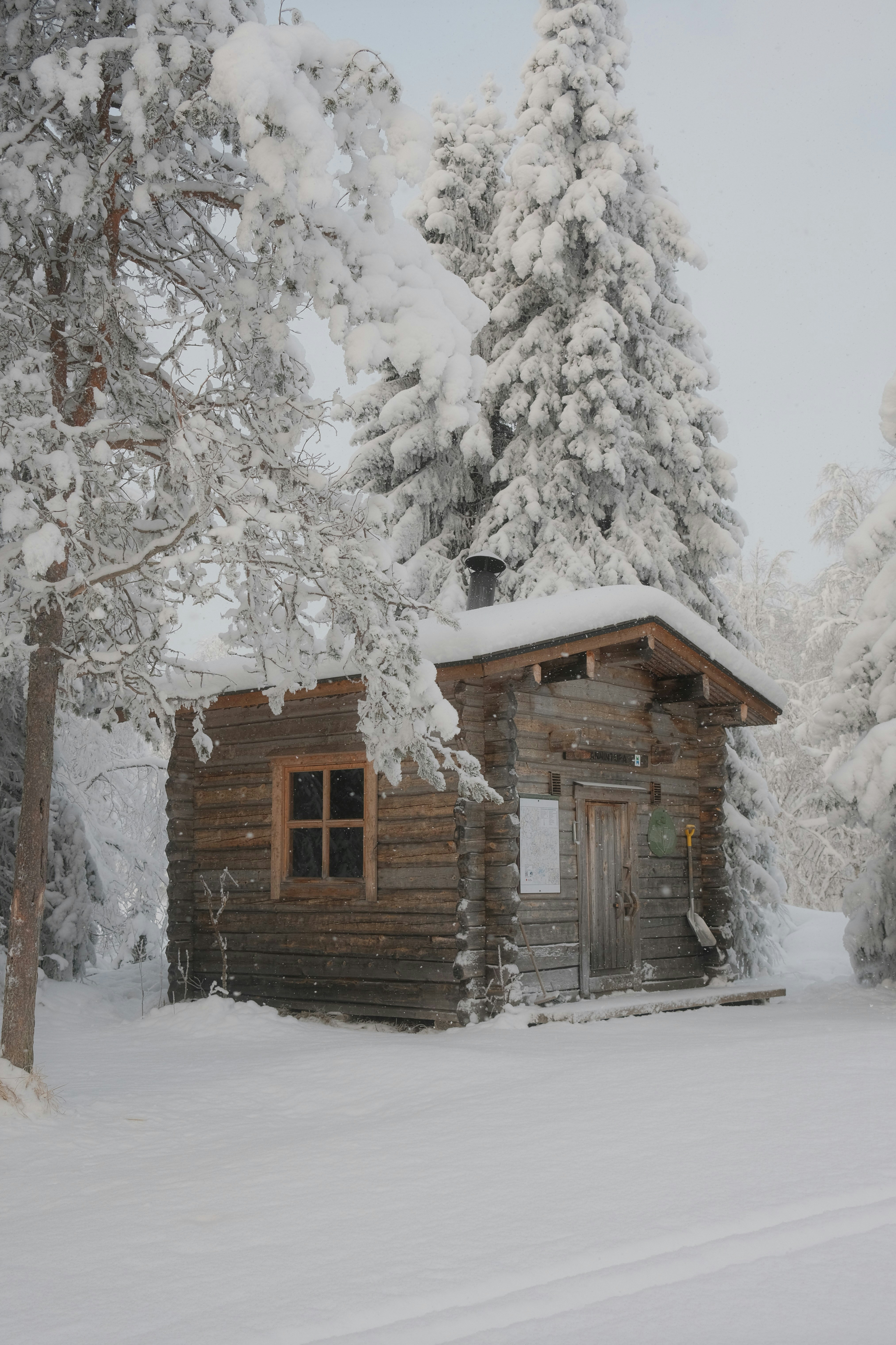 Small wooden cabin surrounded by snow-covered trees