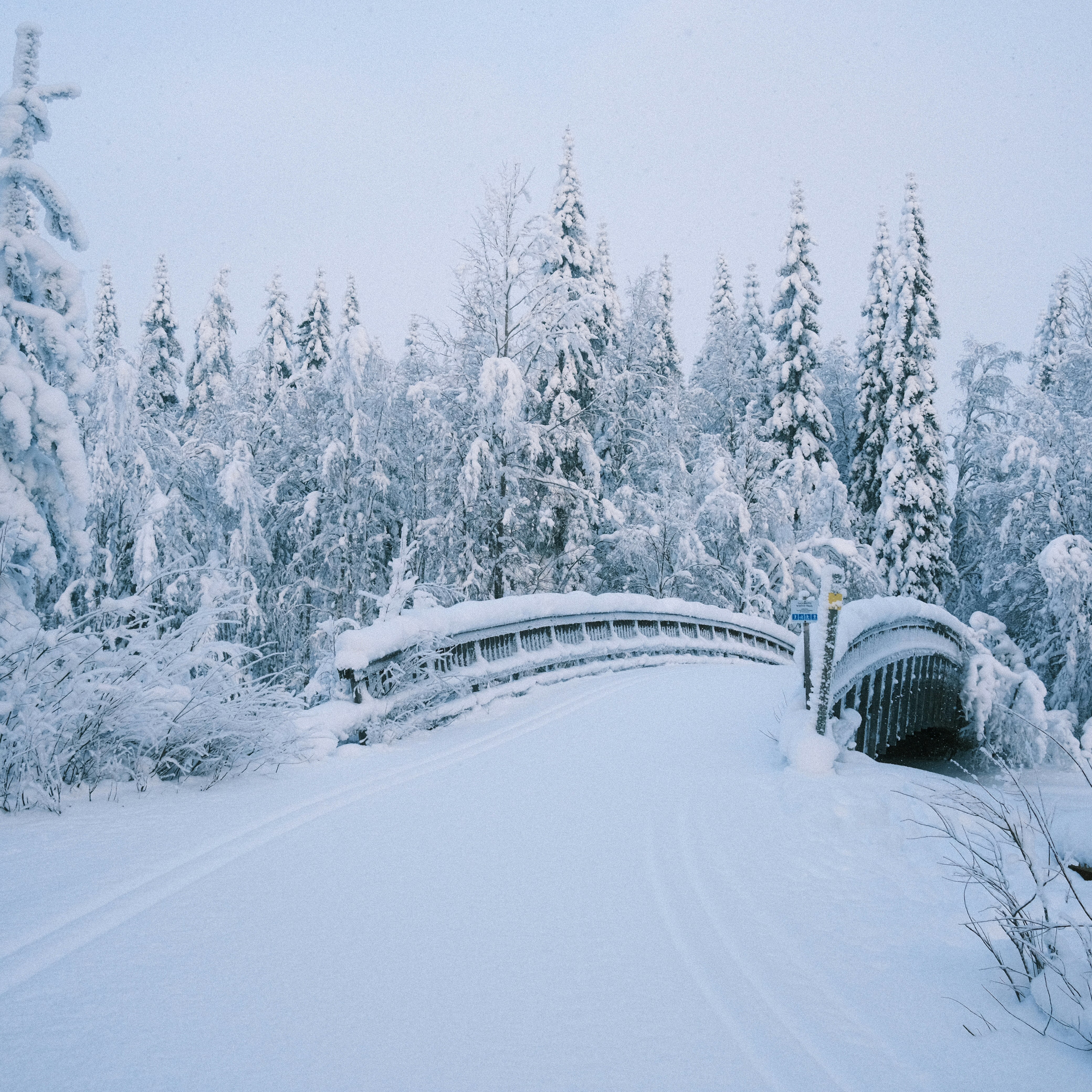 Snow covered bridge and trees in a winter forest.