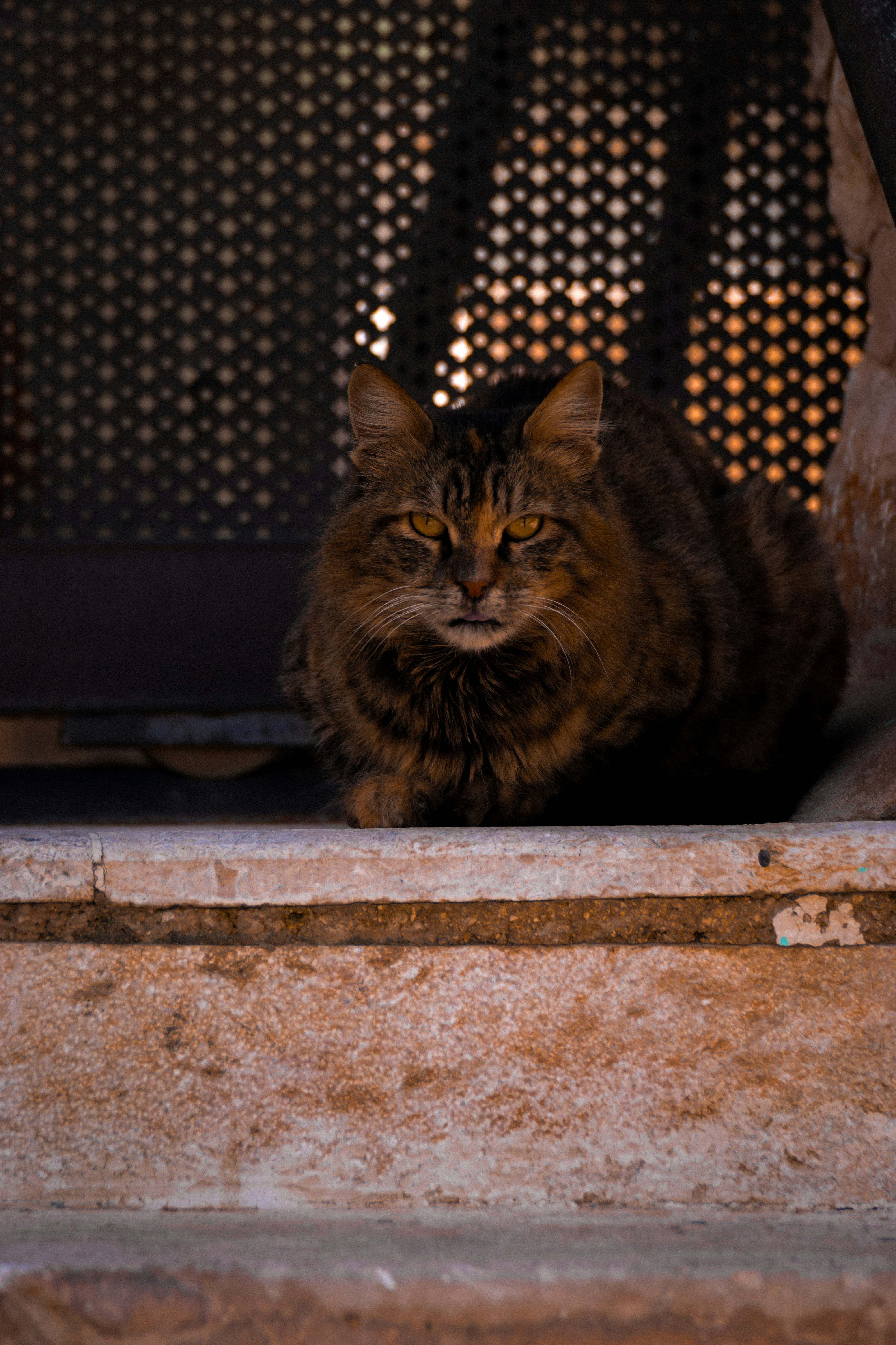 Photo by sacracomelasindone