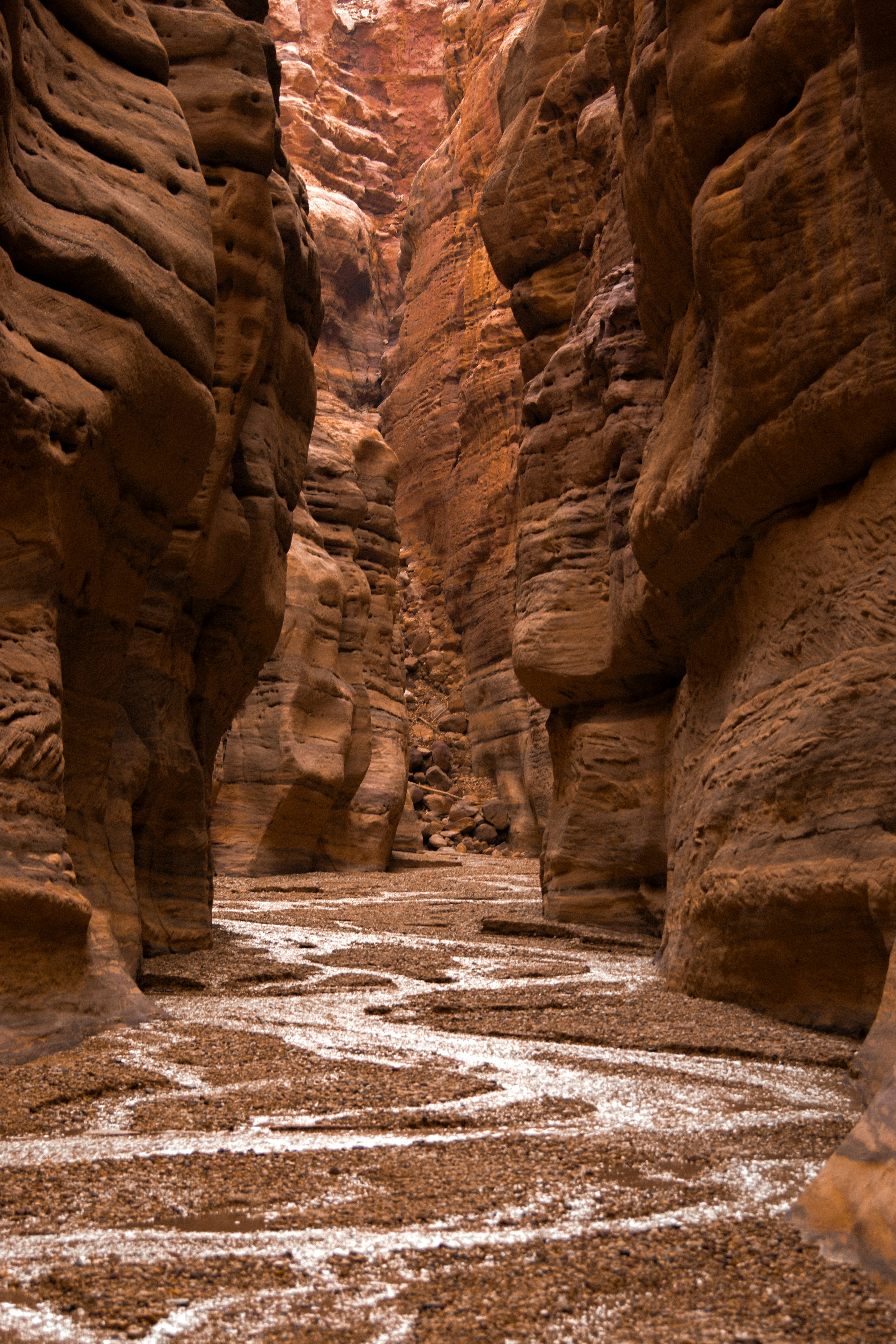 Photo by sacracomelasindone