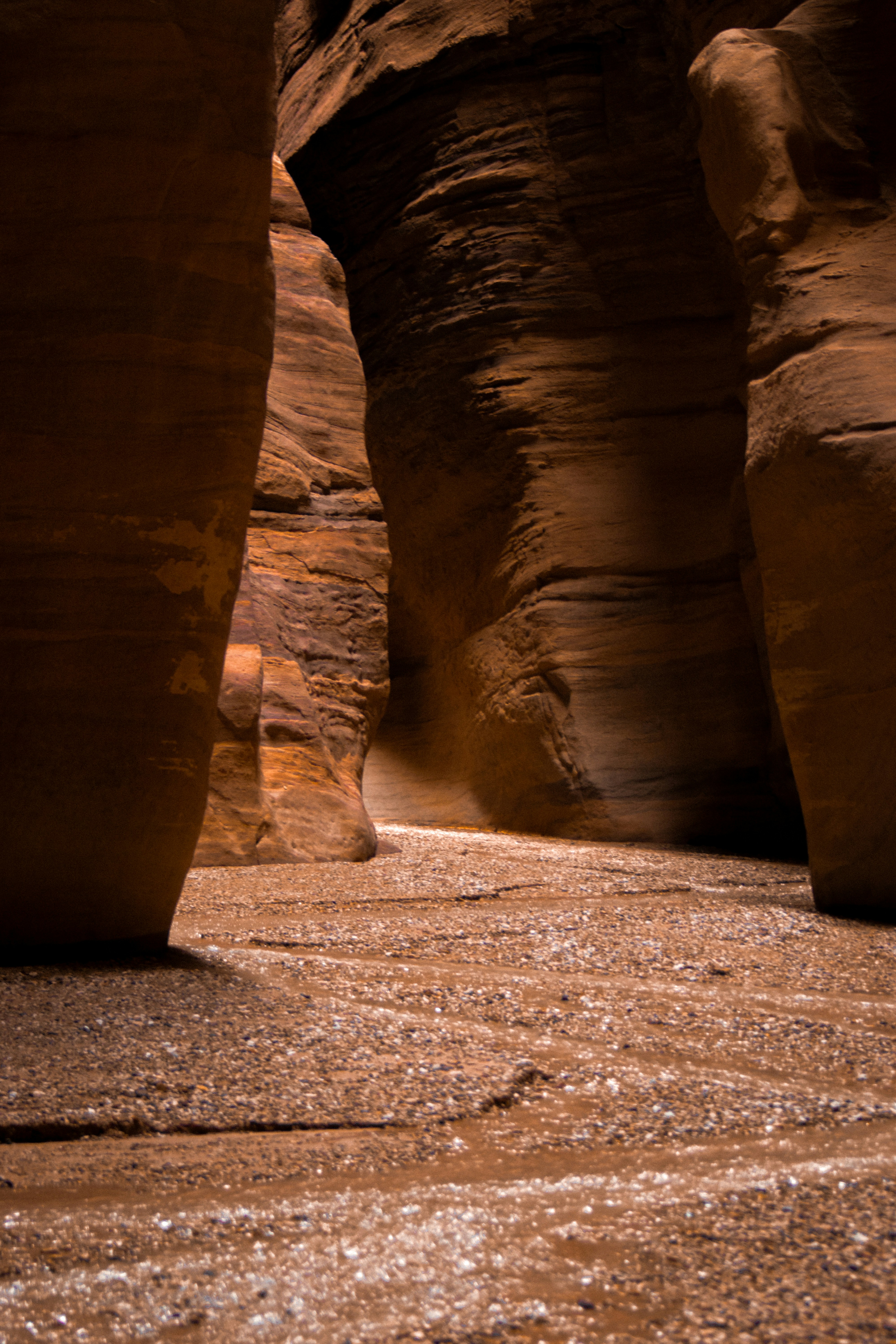 Photo by sacracomelasindone