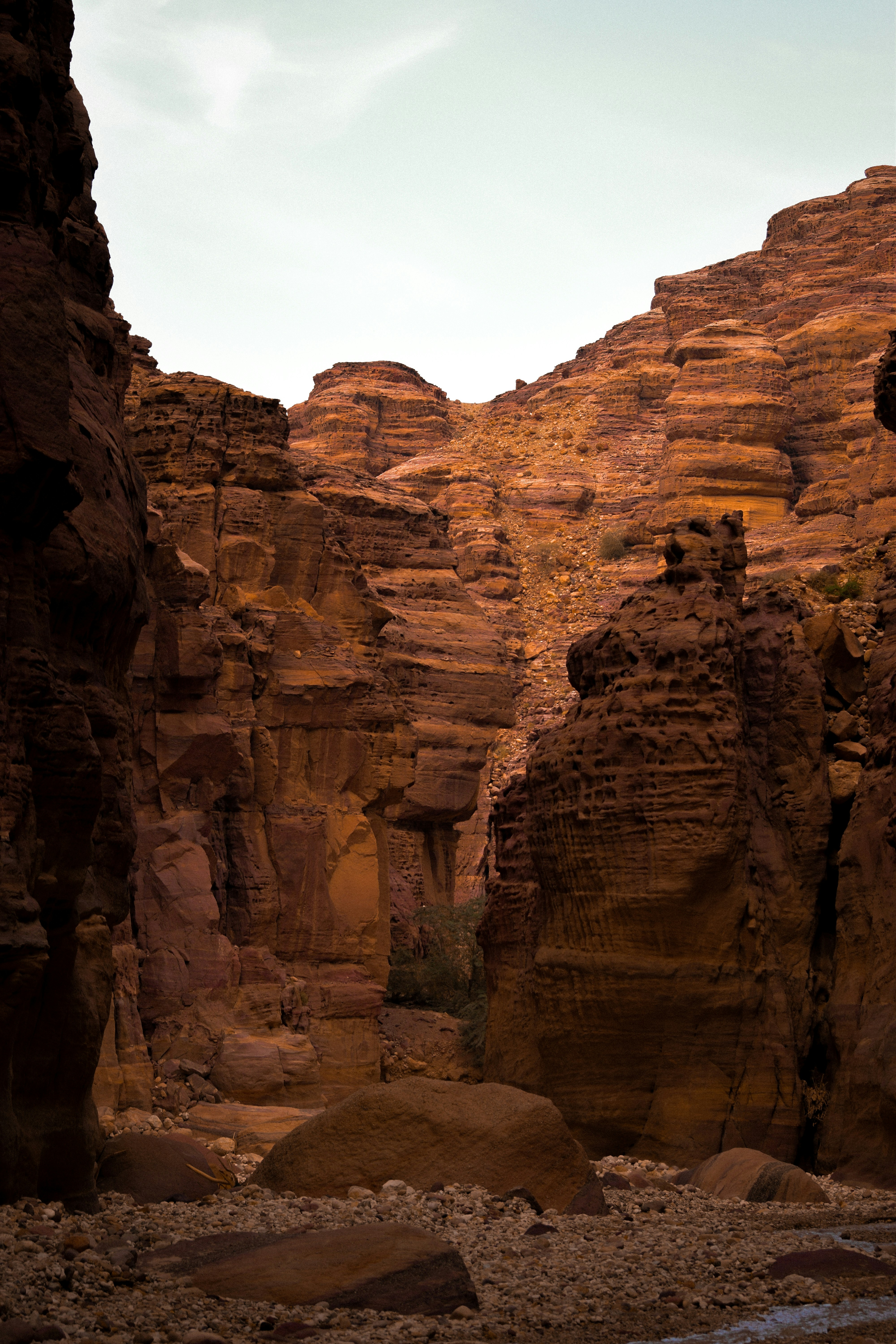 Photo by sacracomelasindone