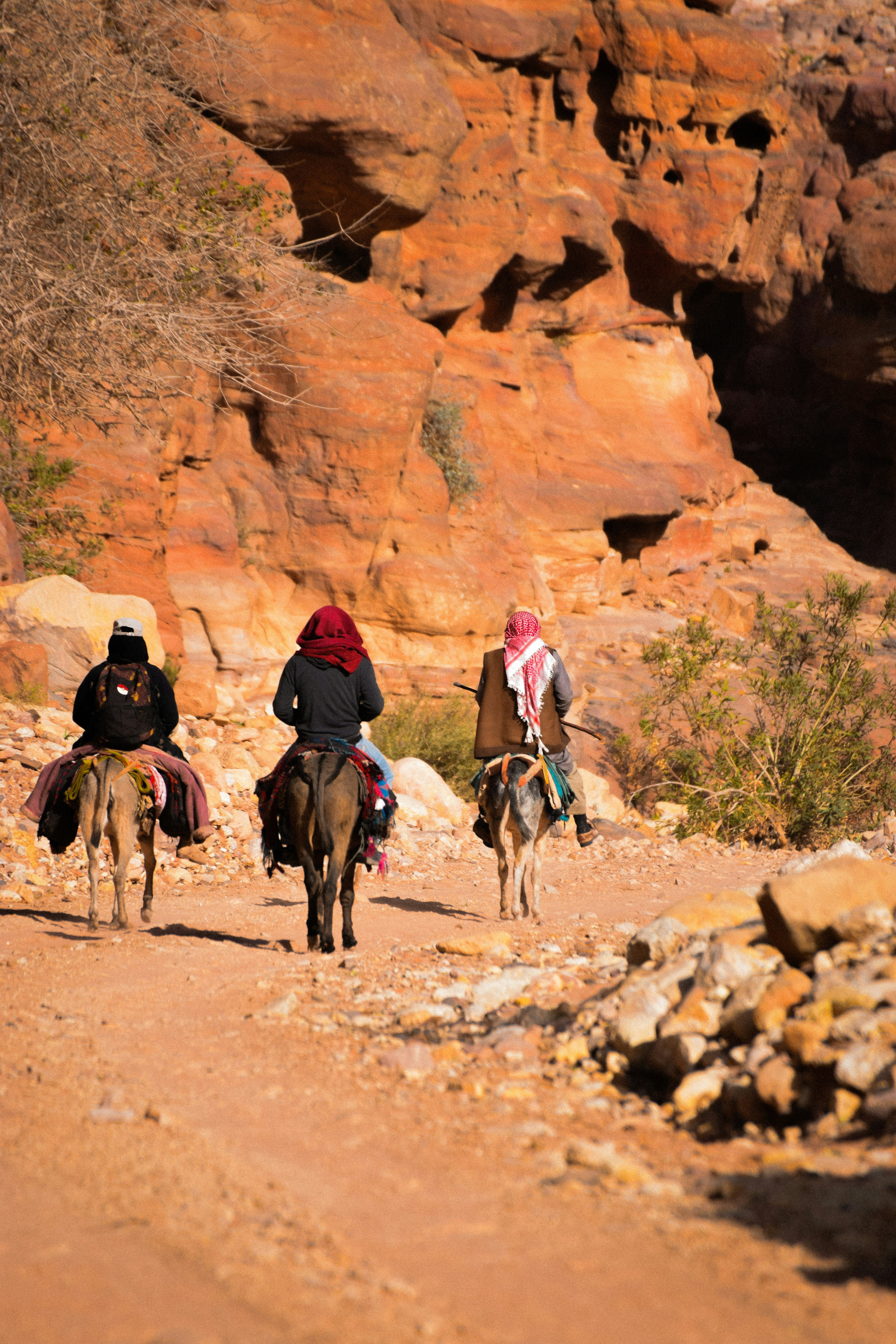 Photo by sacracomelasindone