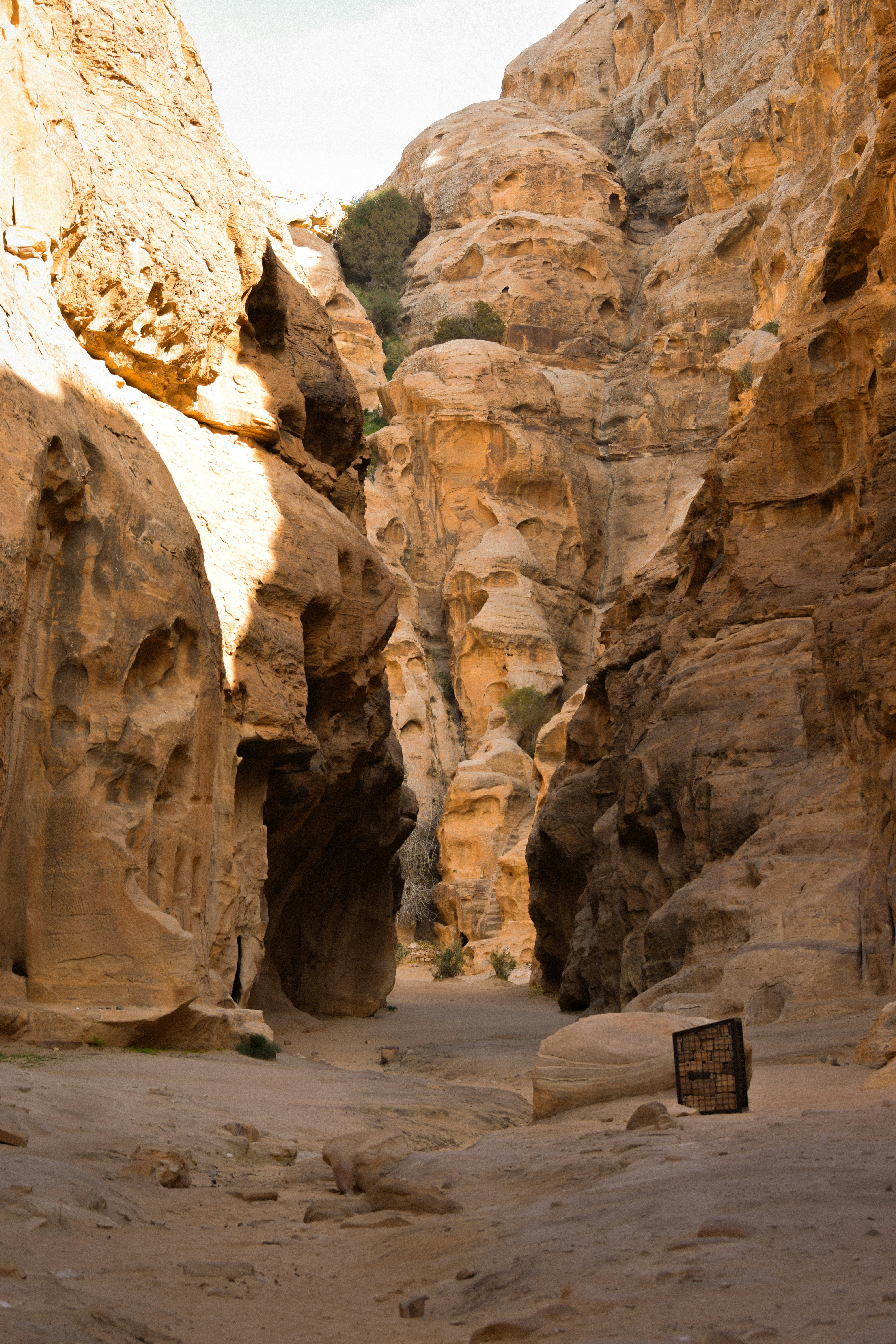 Photo by sacracomelasindone