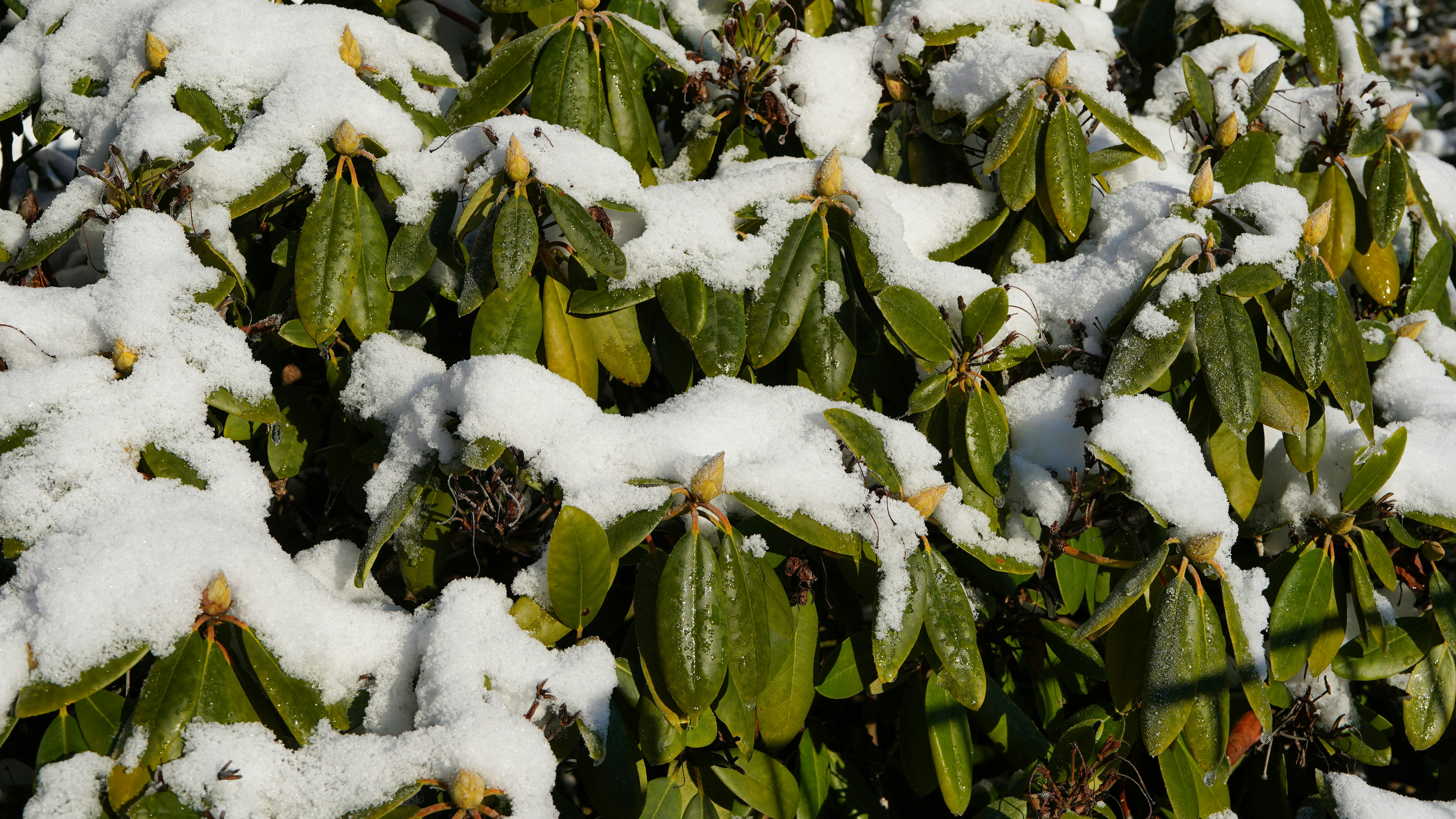 Photo by hamburgmeinefreundin