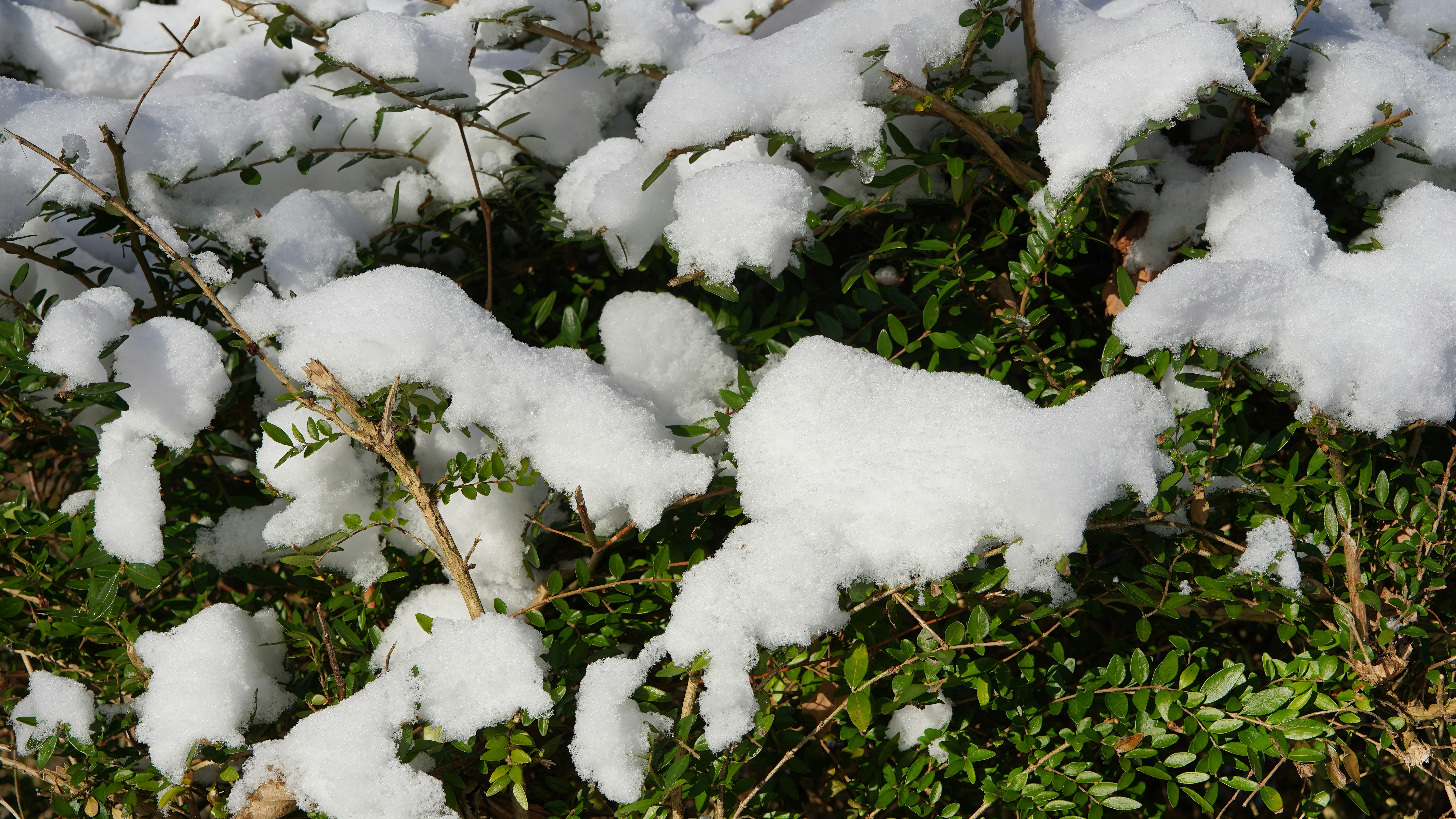 Photo by hamburgmeinefreundin