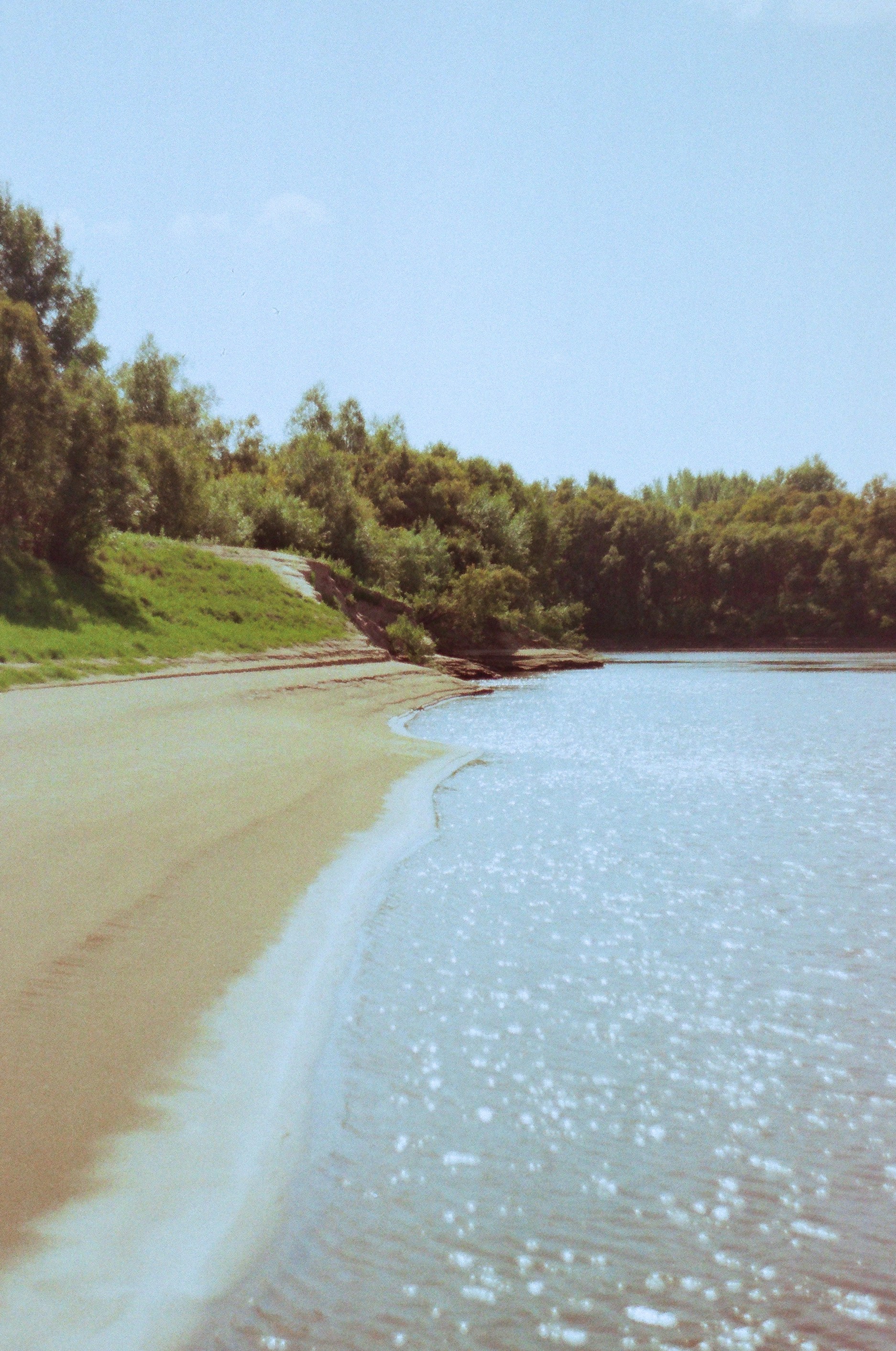 Sandy beach with gentle waves and lush green trees.