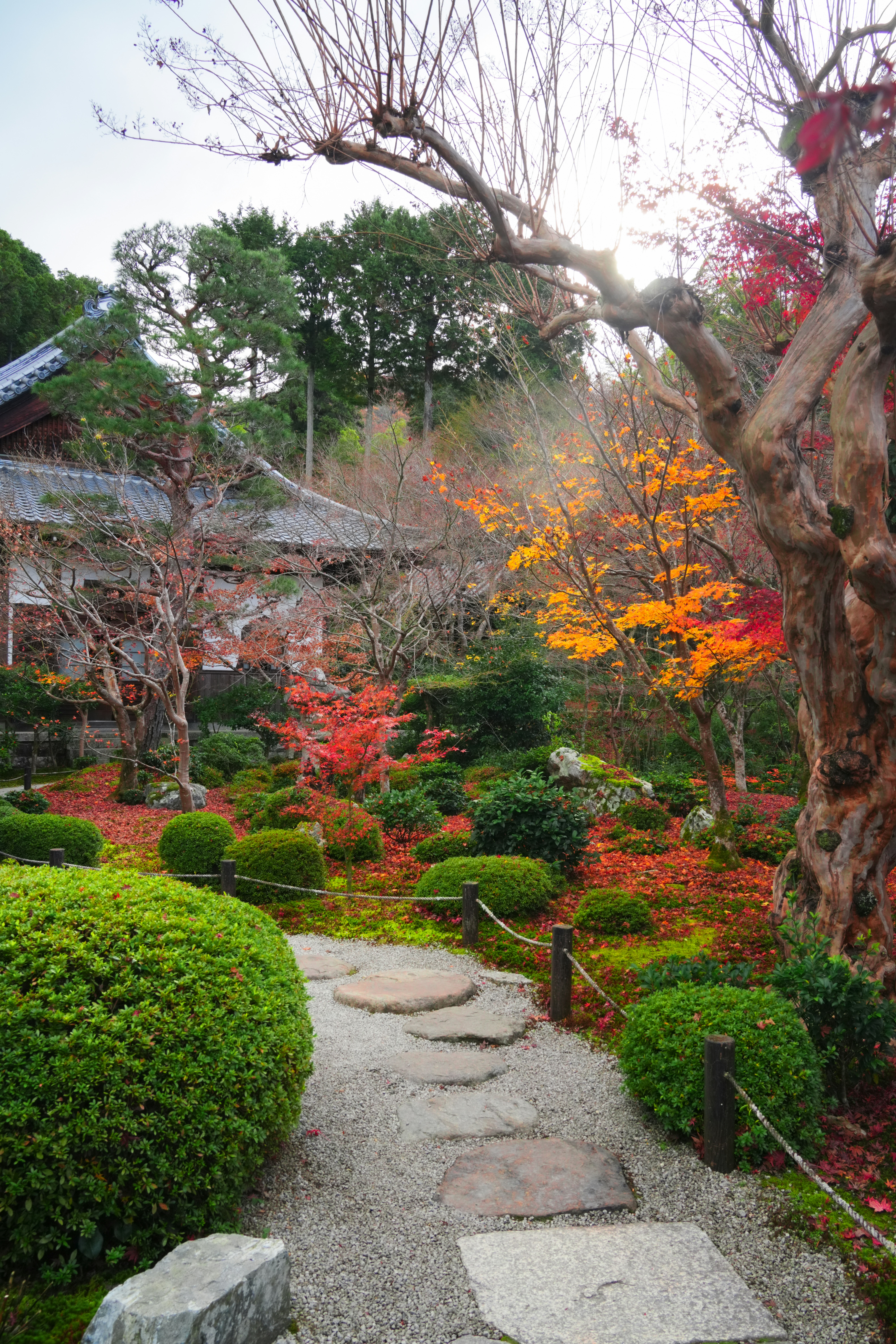 Photo by hattrick1996