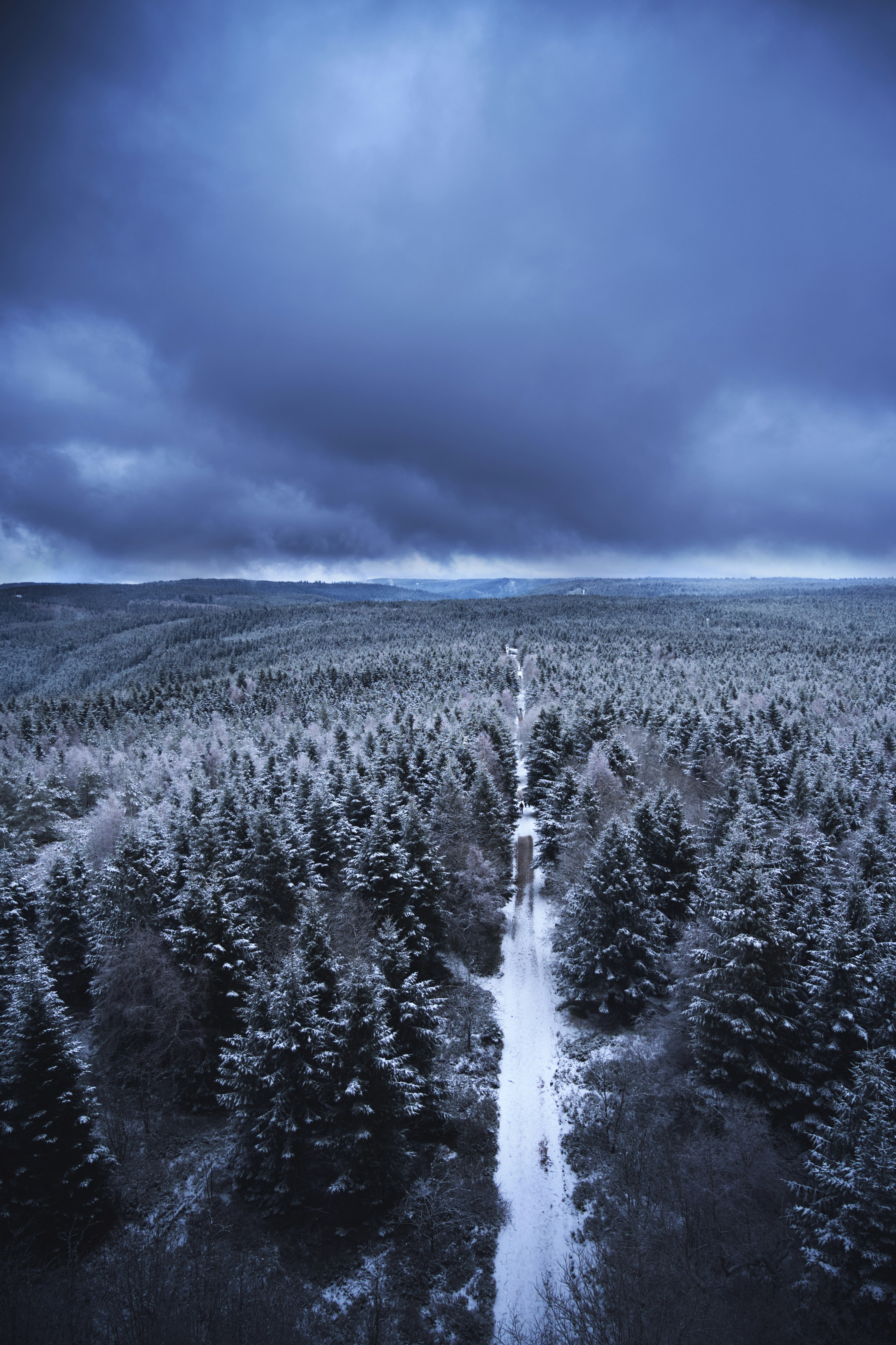 Camino forestal nevado bajo un cielo dramático y nublado