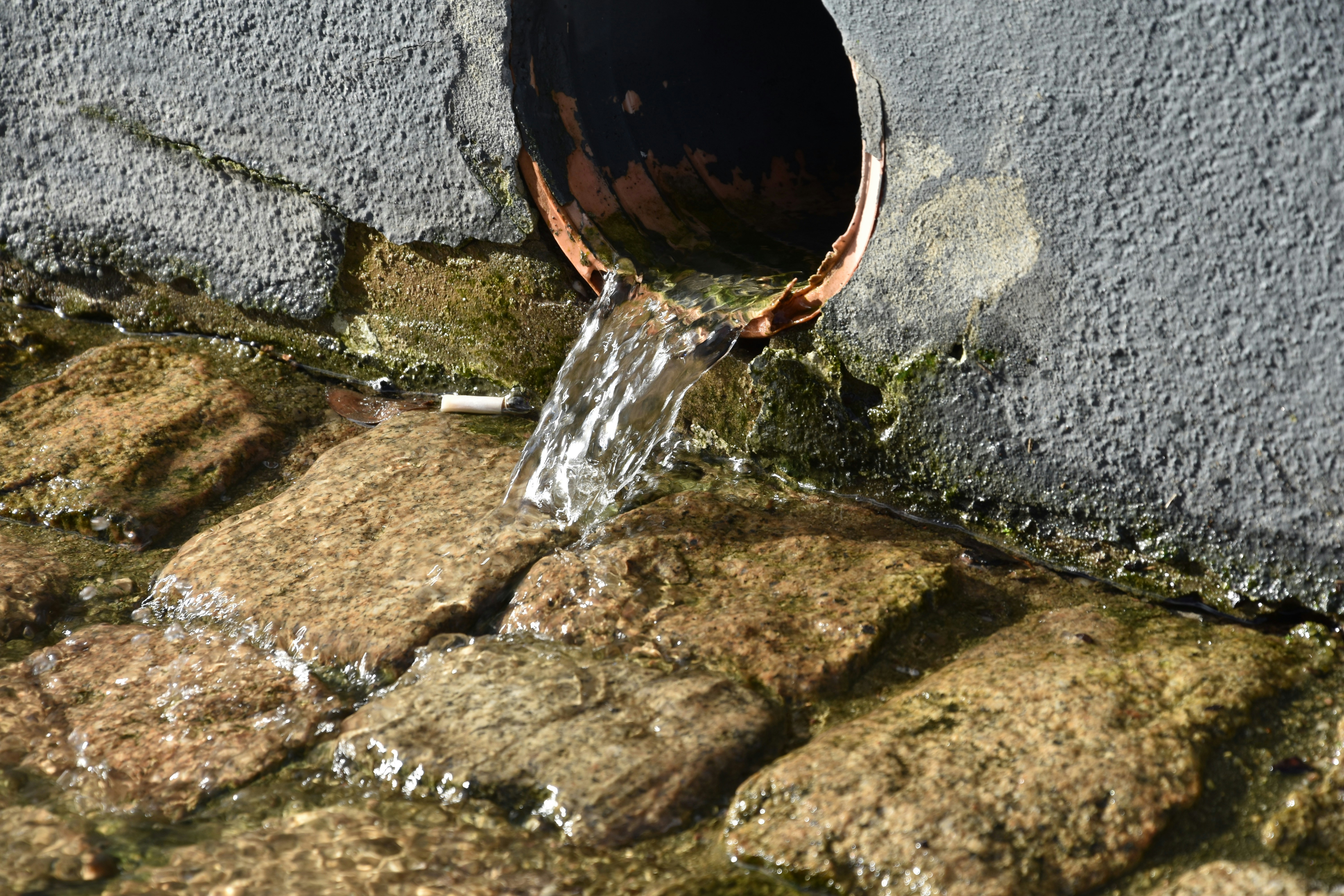 Photo by binogrepolian