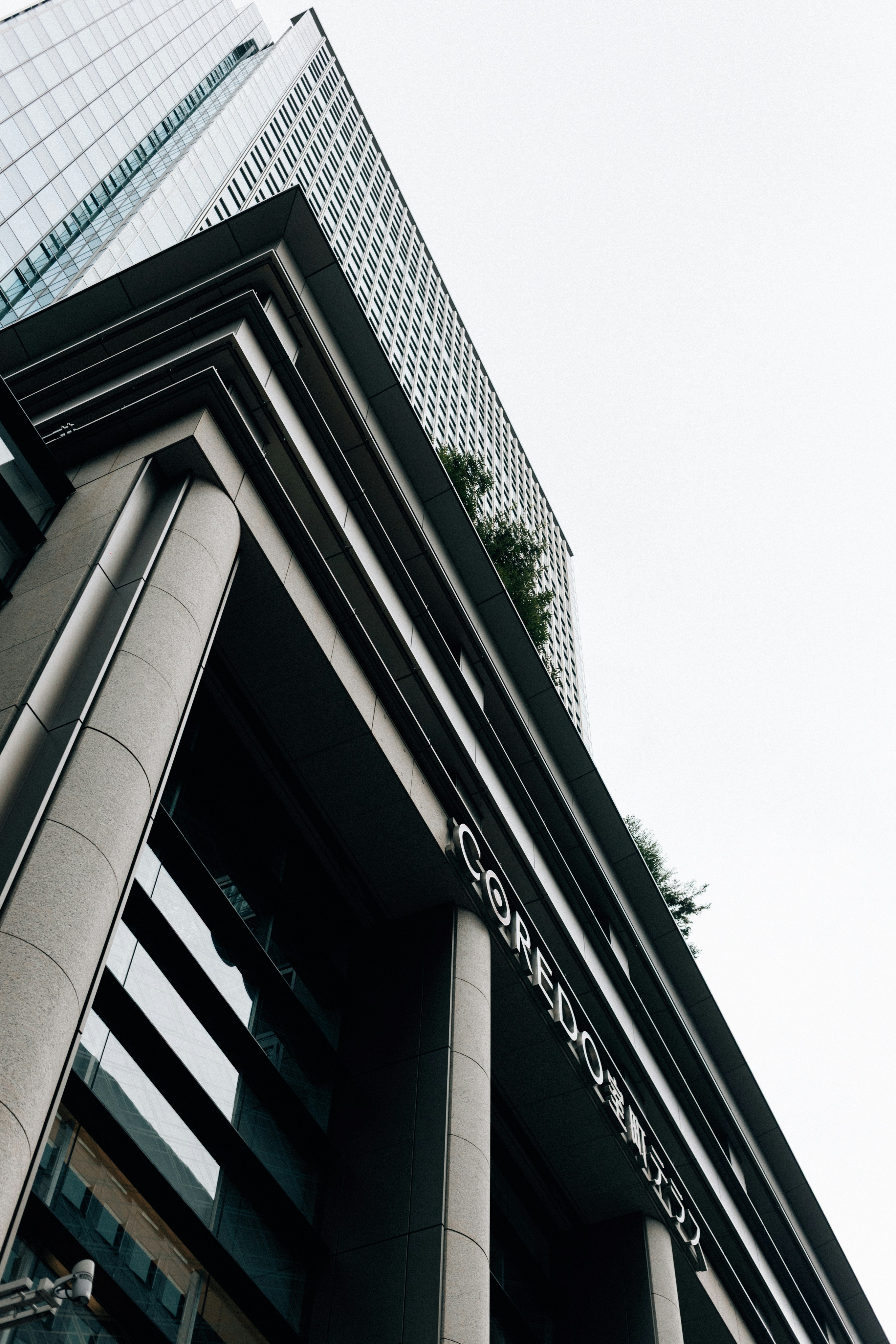 Photo by tsuyoshikozu